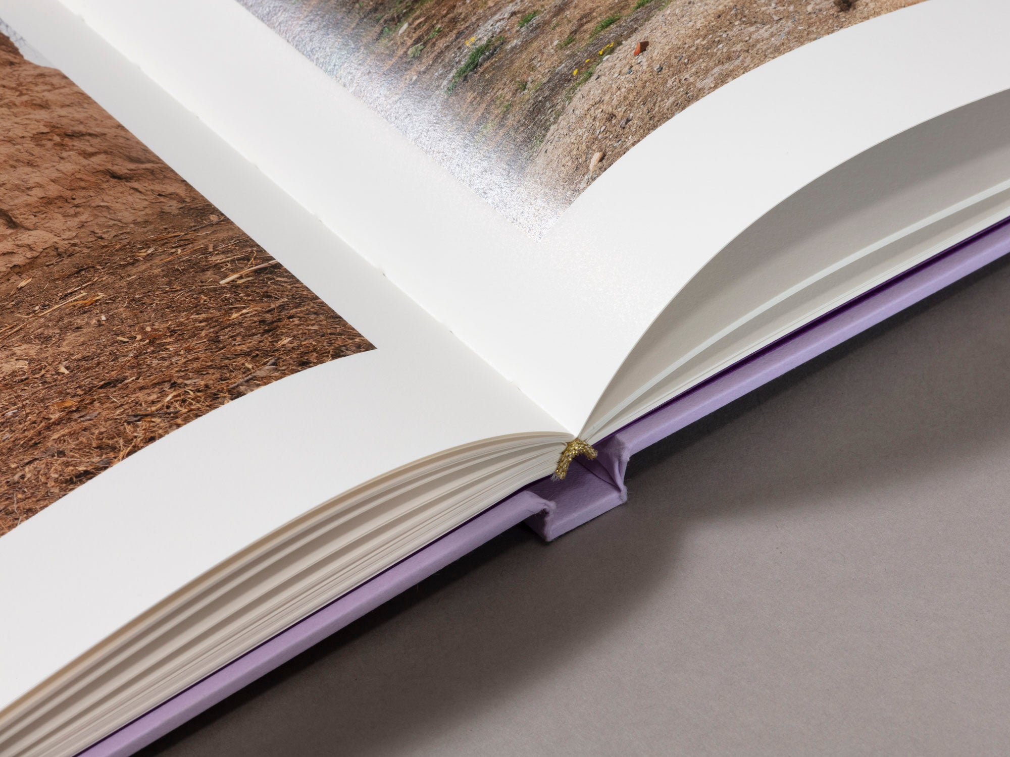 Special Edition / Mother's Land - Daniel Lee Postaer