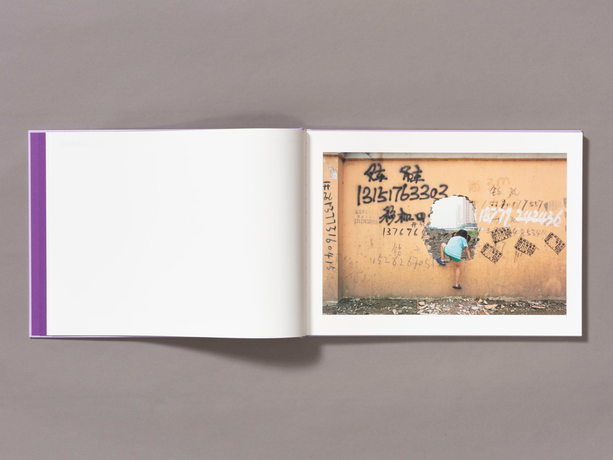 Special Edition / Mother's Land - Daniel Lee Postaer