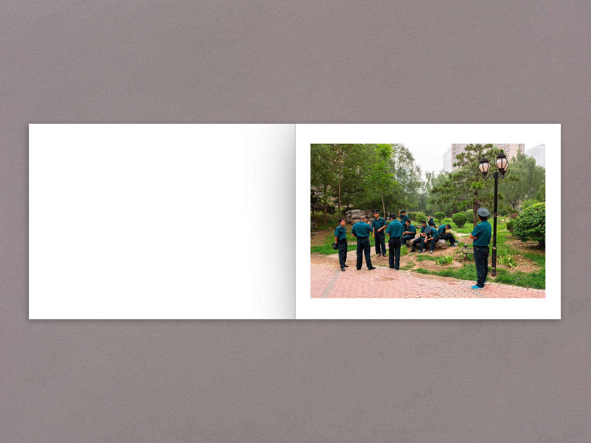 Mother's Land - Daniel Lee Postaer