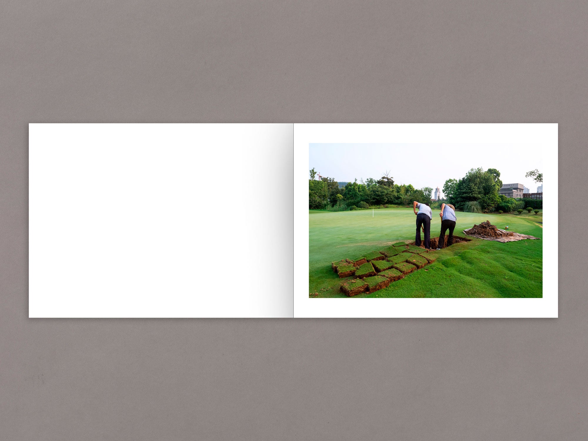 Mother's Land - Daniel Lee Postaer