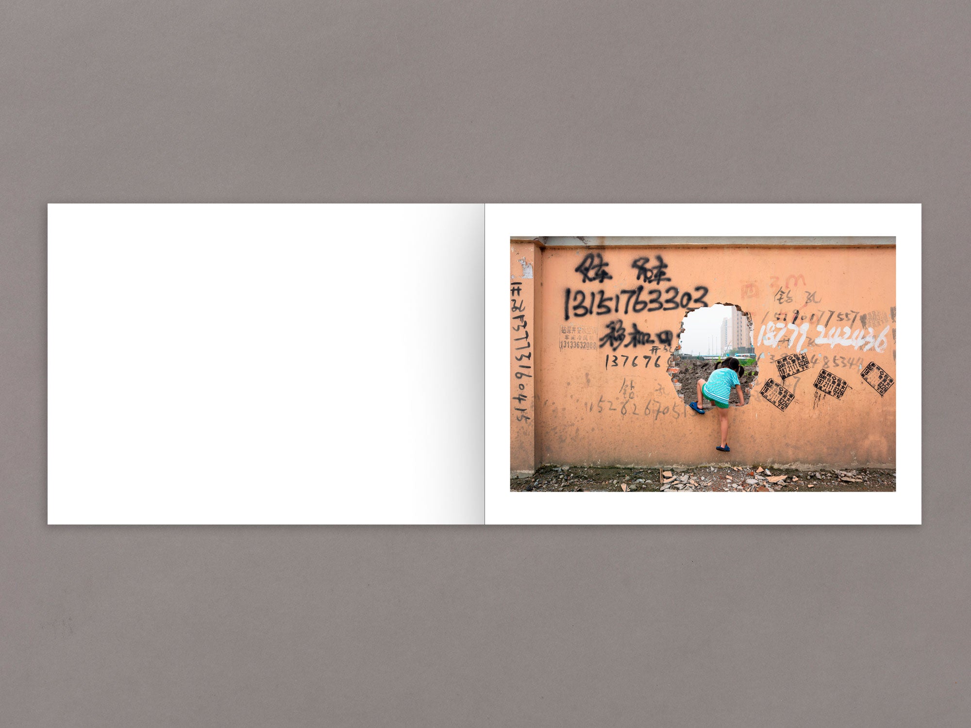 Mother's Land - Daniel Lee Postaer