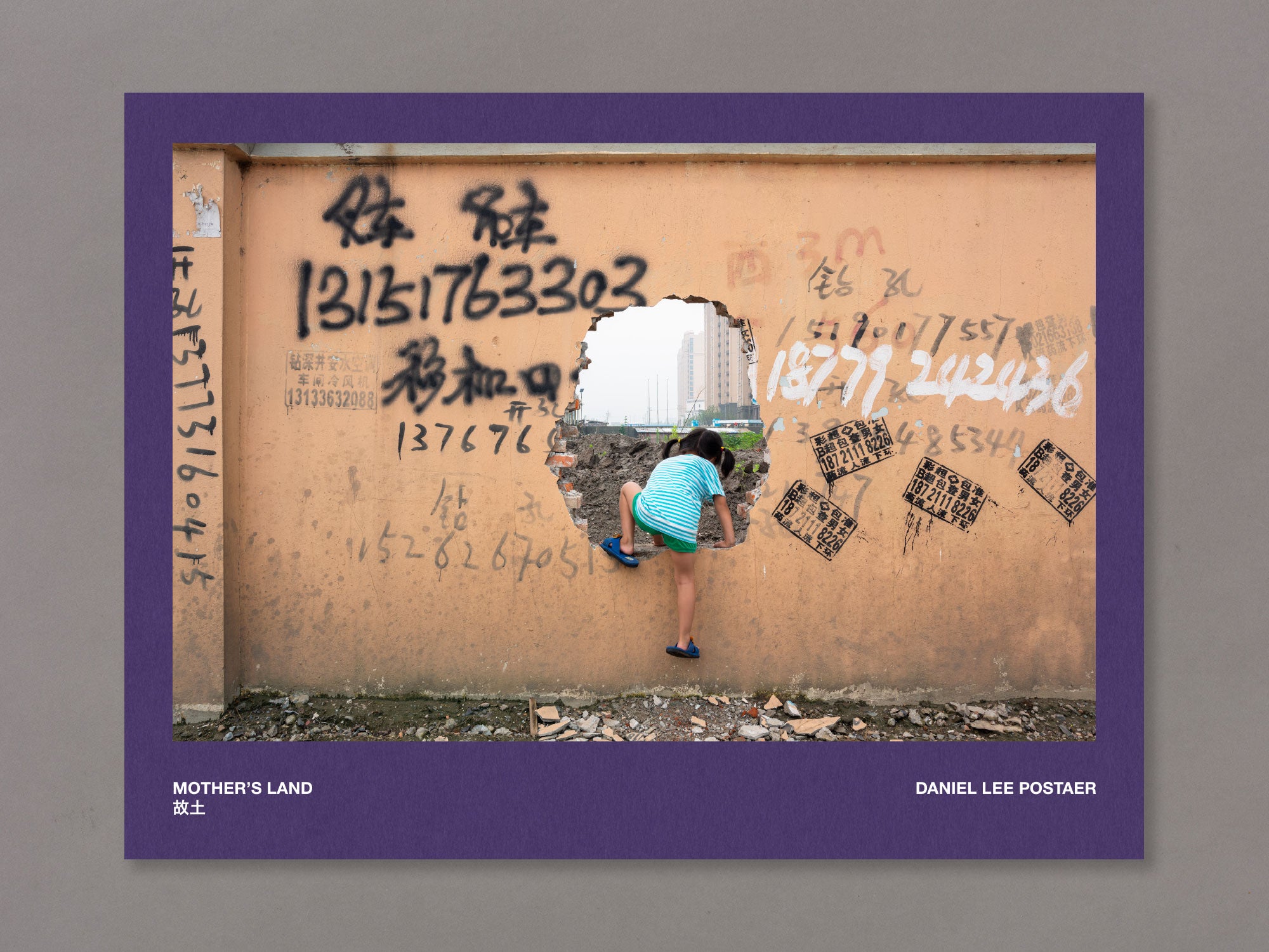 Special Edition / Mother's Land - Daniel Lee Postaer