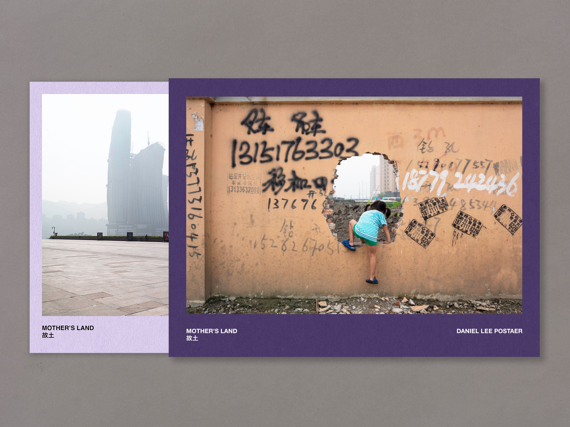 Special Edition / Mother's Land - Daniel Lee Postaer