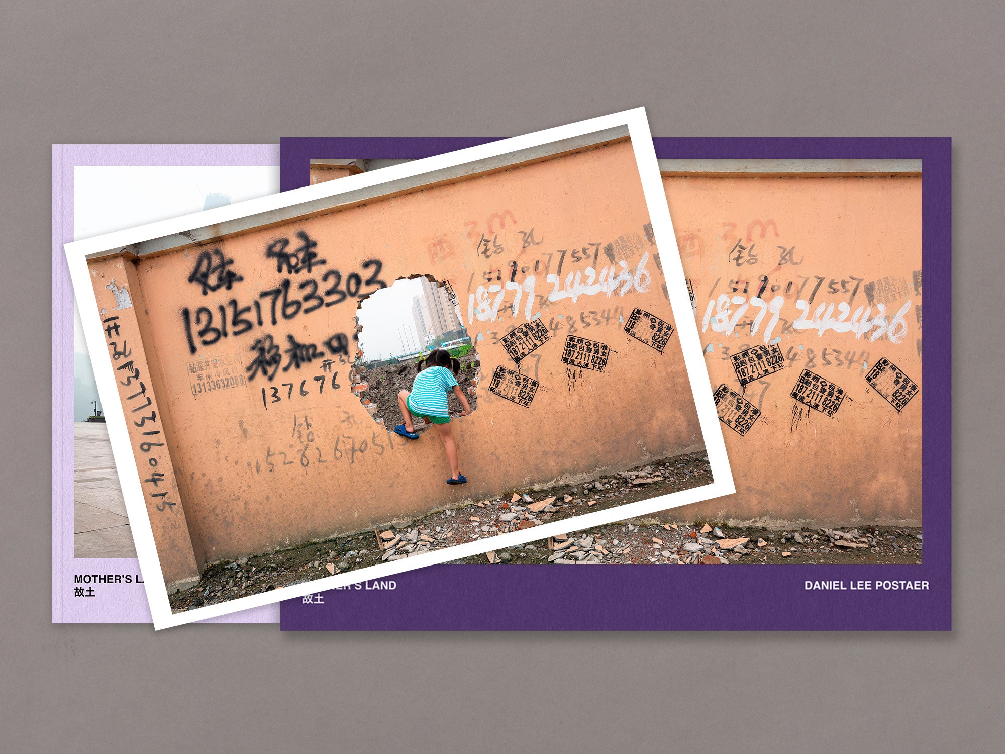 Special Edition / Mother's Land - Daniel Lee Postaer