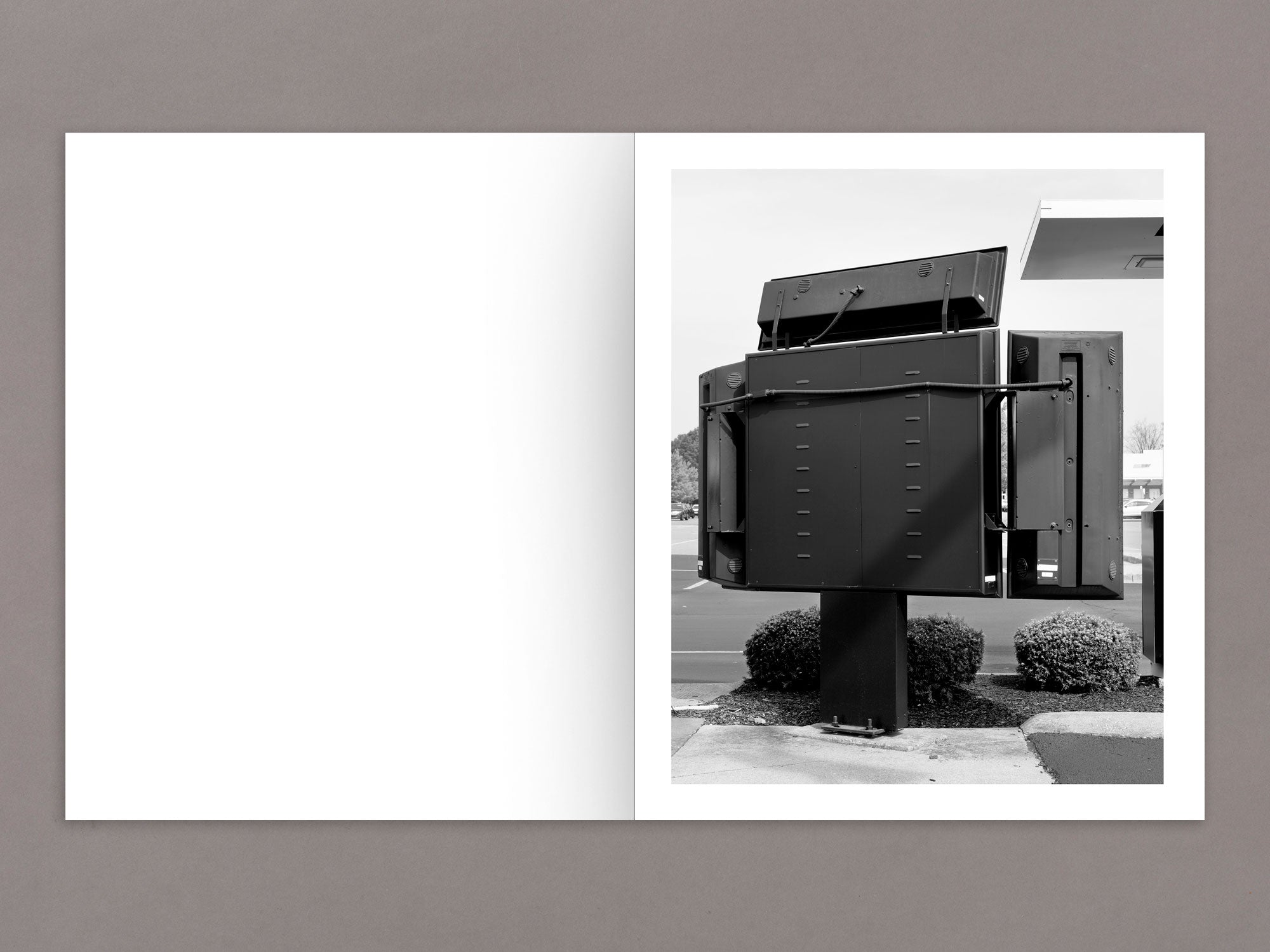 Special Edition / Billions Served - Richard Renaldi