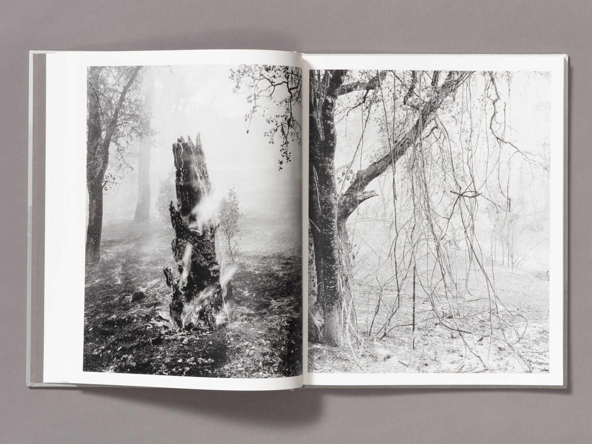 The Weight Of Ash - Ian Bates