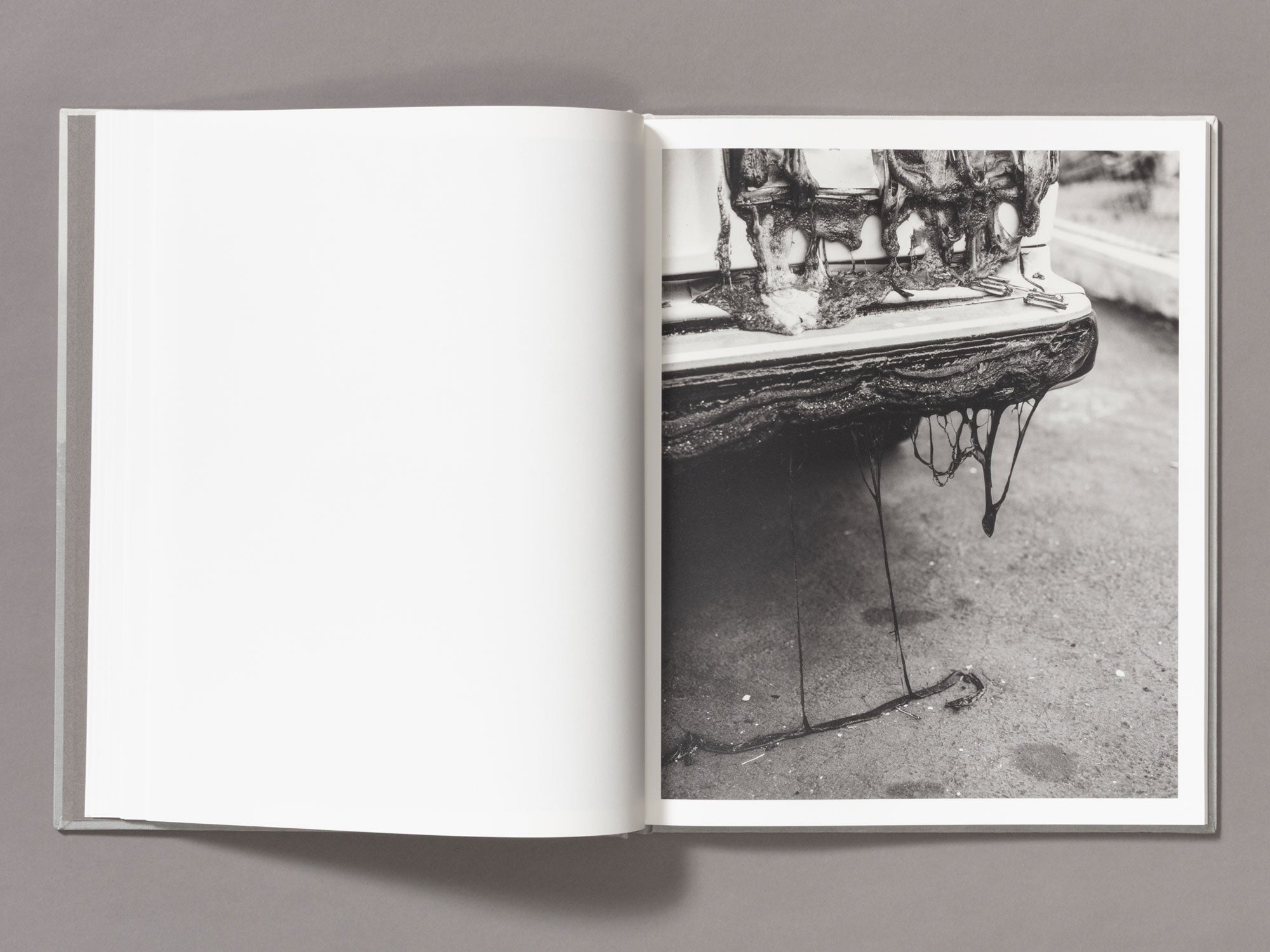 Special Edition / The Weight Of Ash - Ian Bates