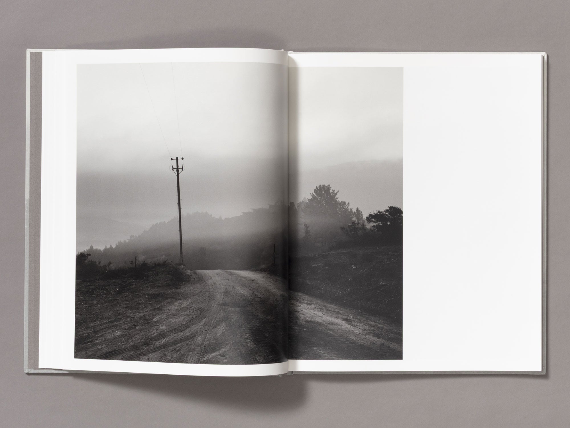 Special Edition / The Weight Of Ash - Ian Bates