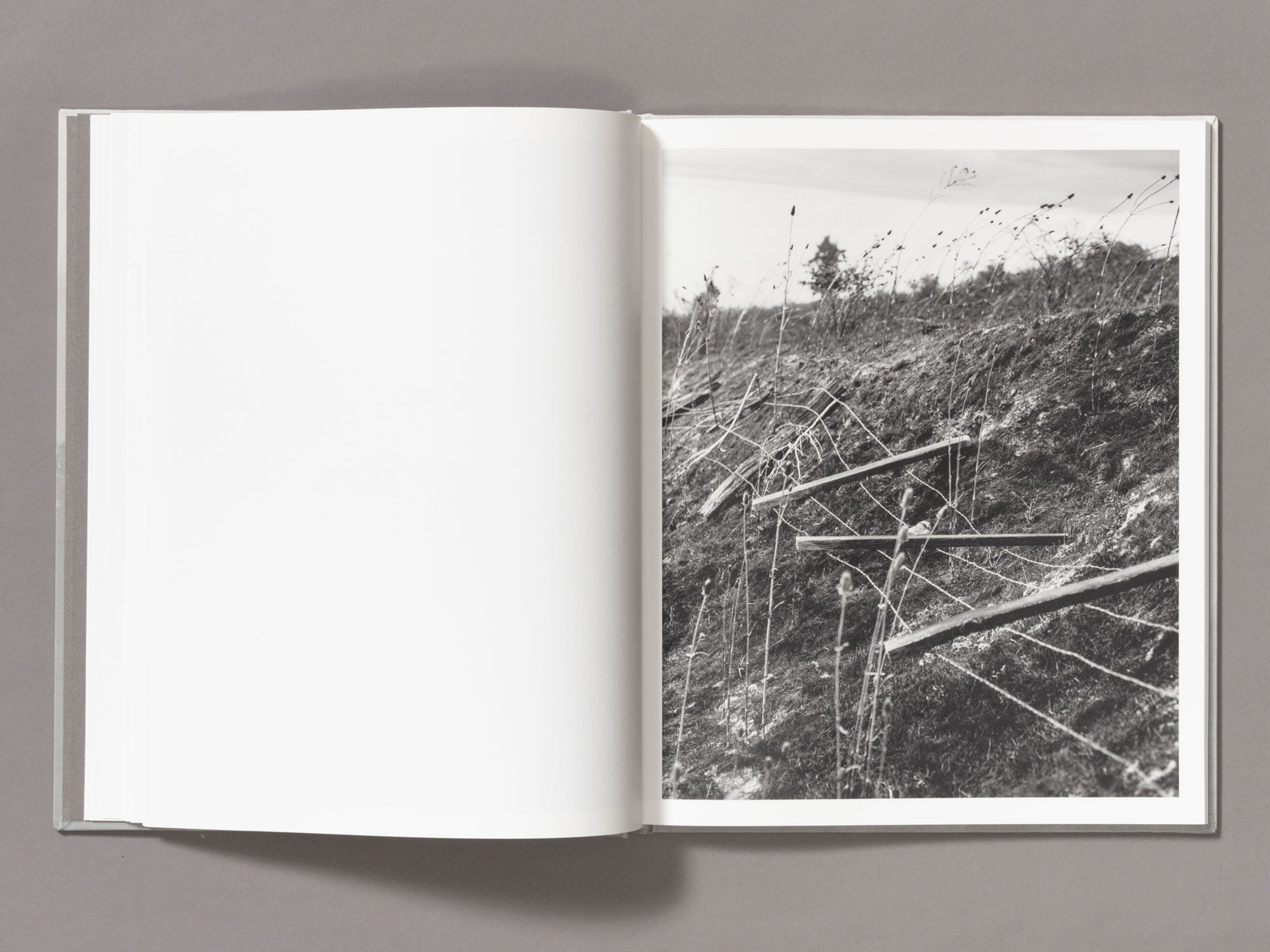 Special Edition / The Weight Of Ash - Ian Bates