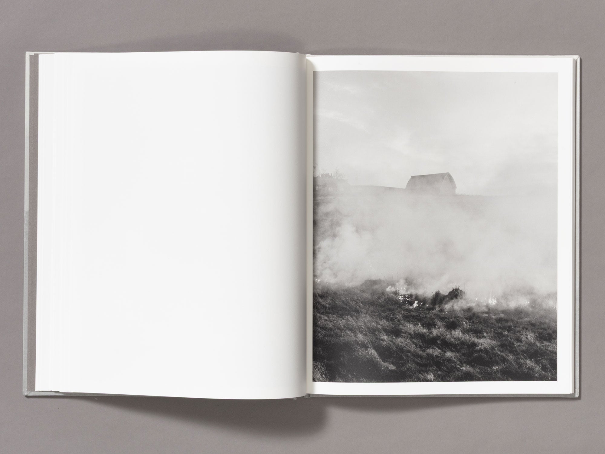 Special Edition / The Weight Of Ash - Ian Bates