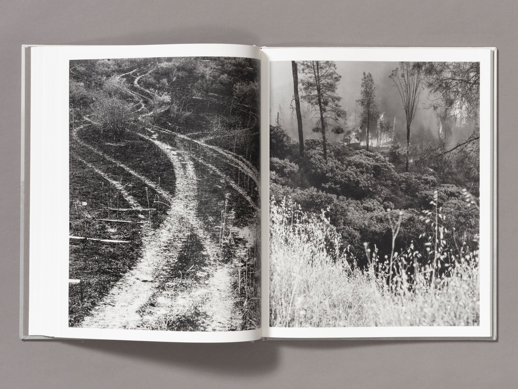 Special Edition / The Weight Of Ash - Ian Bates