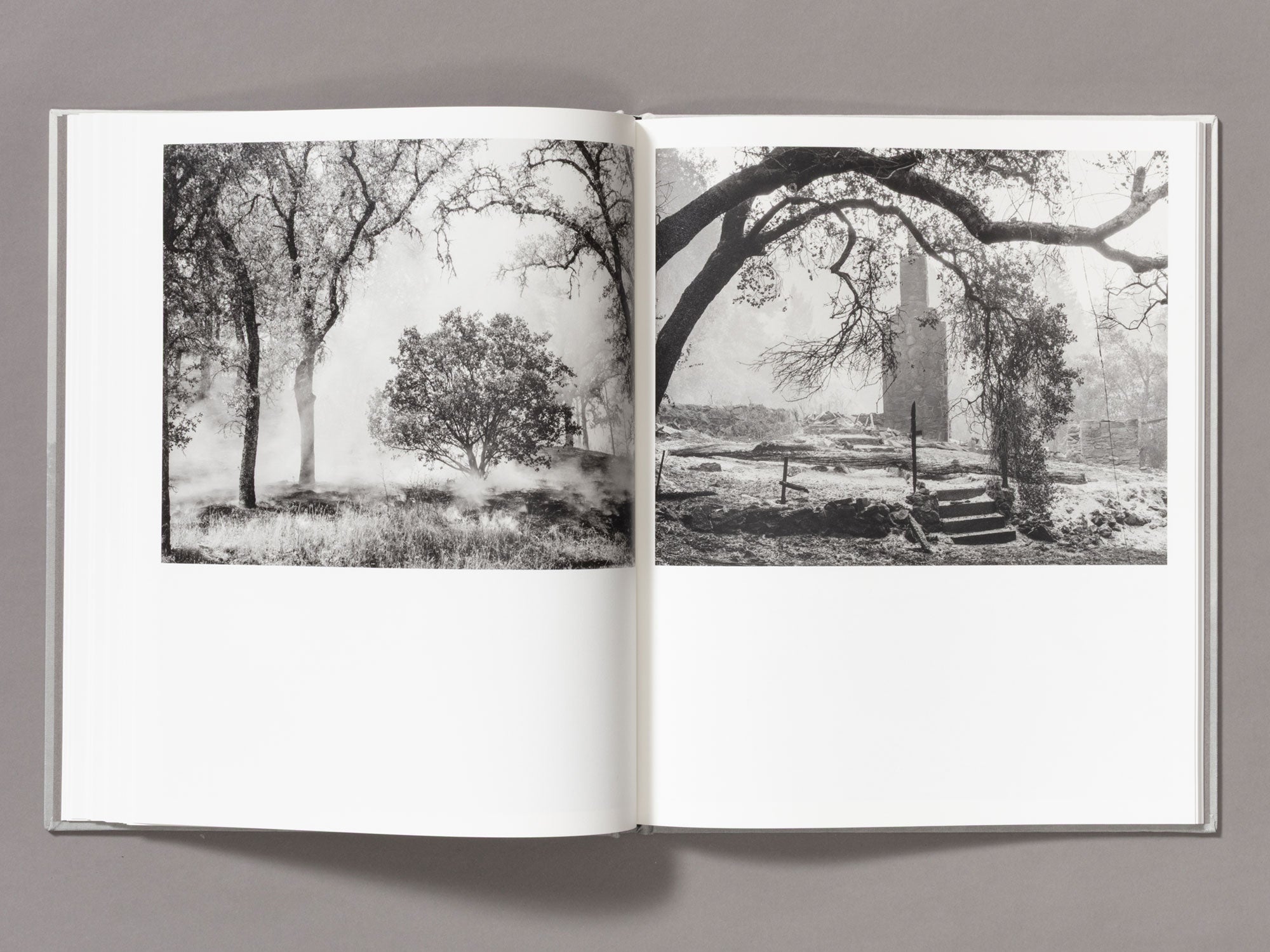 Special Edition / The Weight Of Ash - Ian Bates