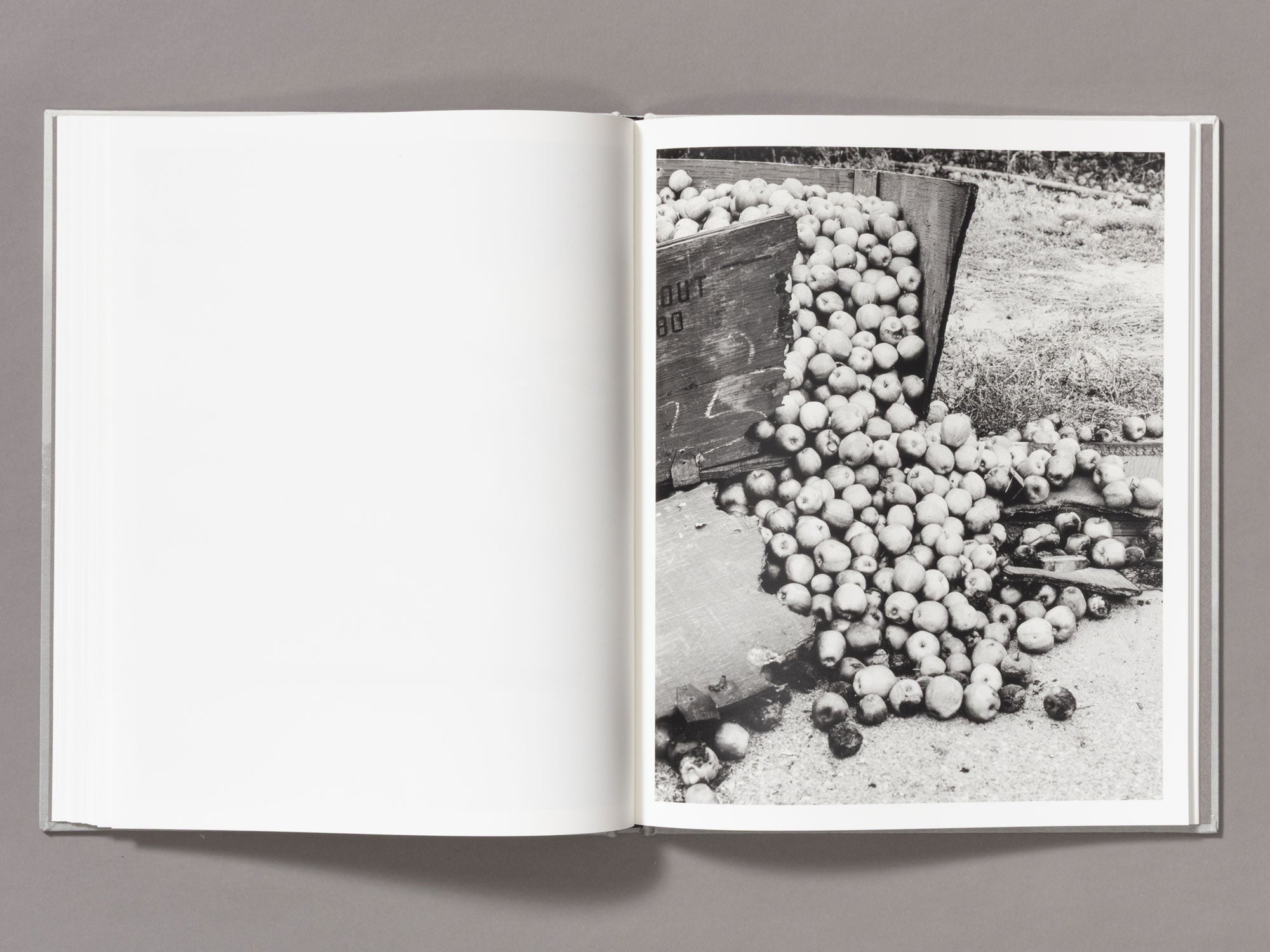 Special Edition / The Weight Of Ash - Ian Bates