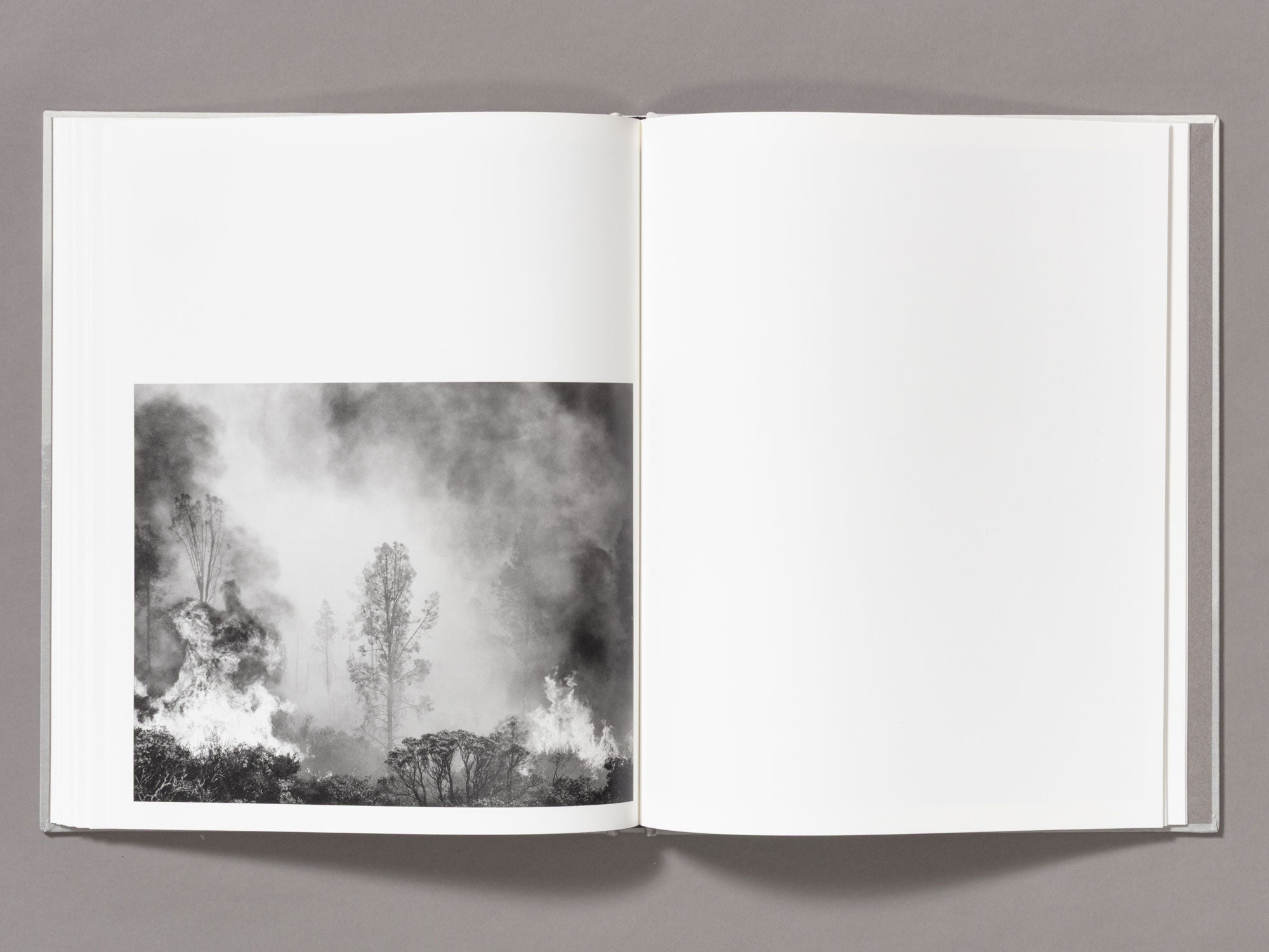 The Weight Of Ash - Ian Bates