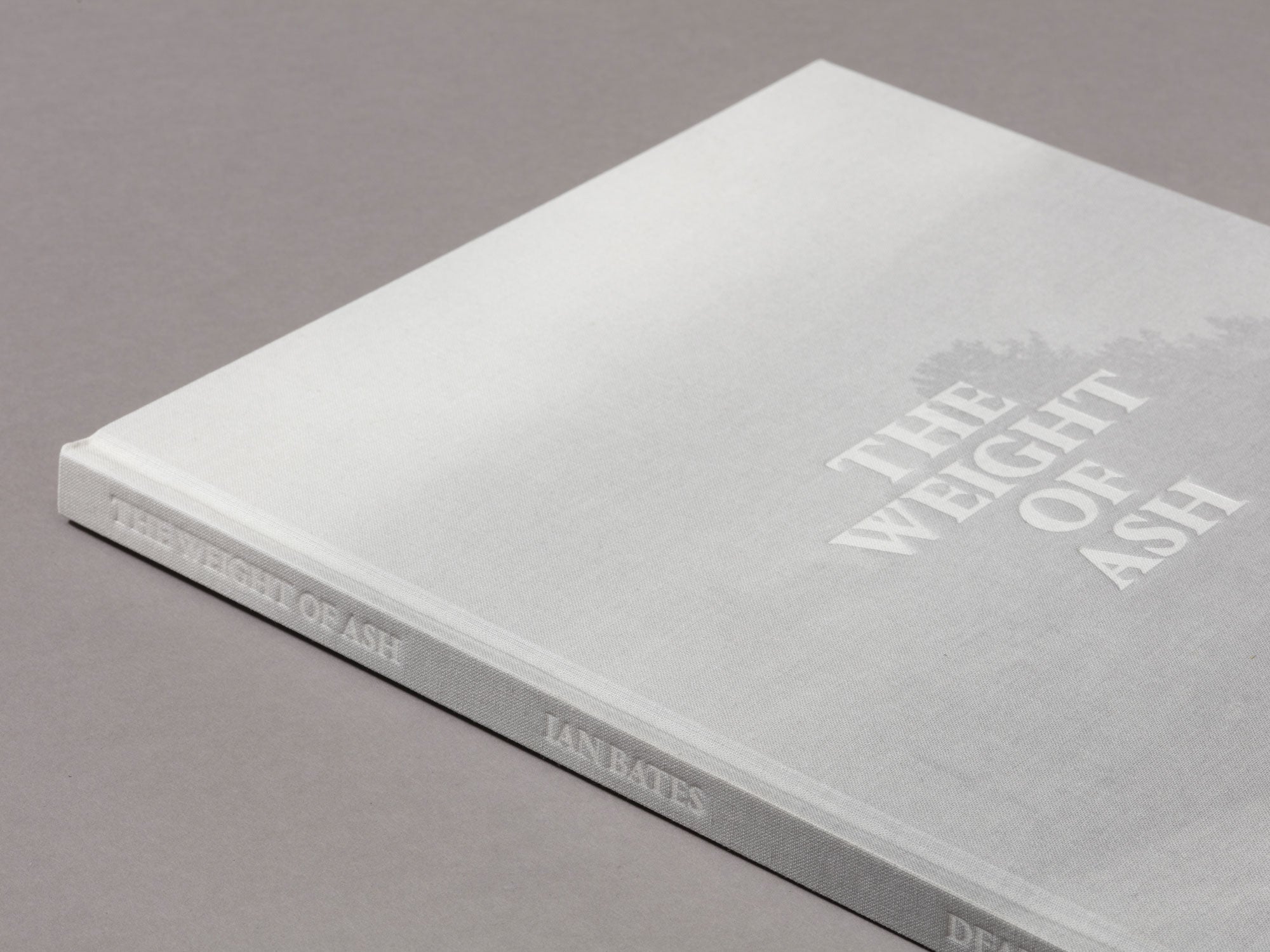 Special Edition / The Weight Of Ash - Ian Bates