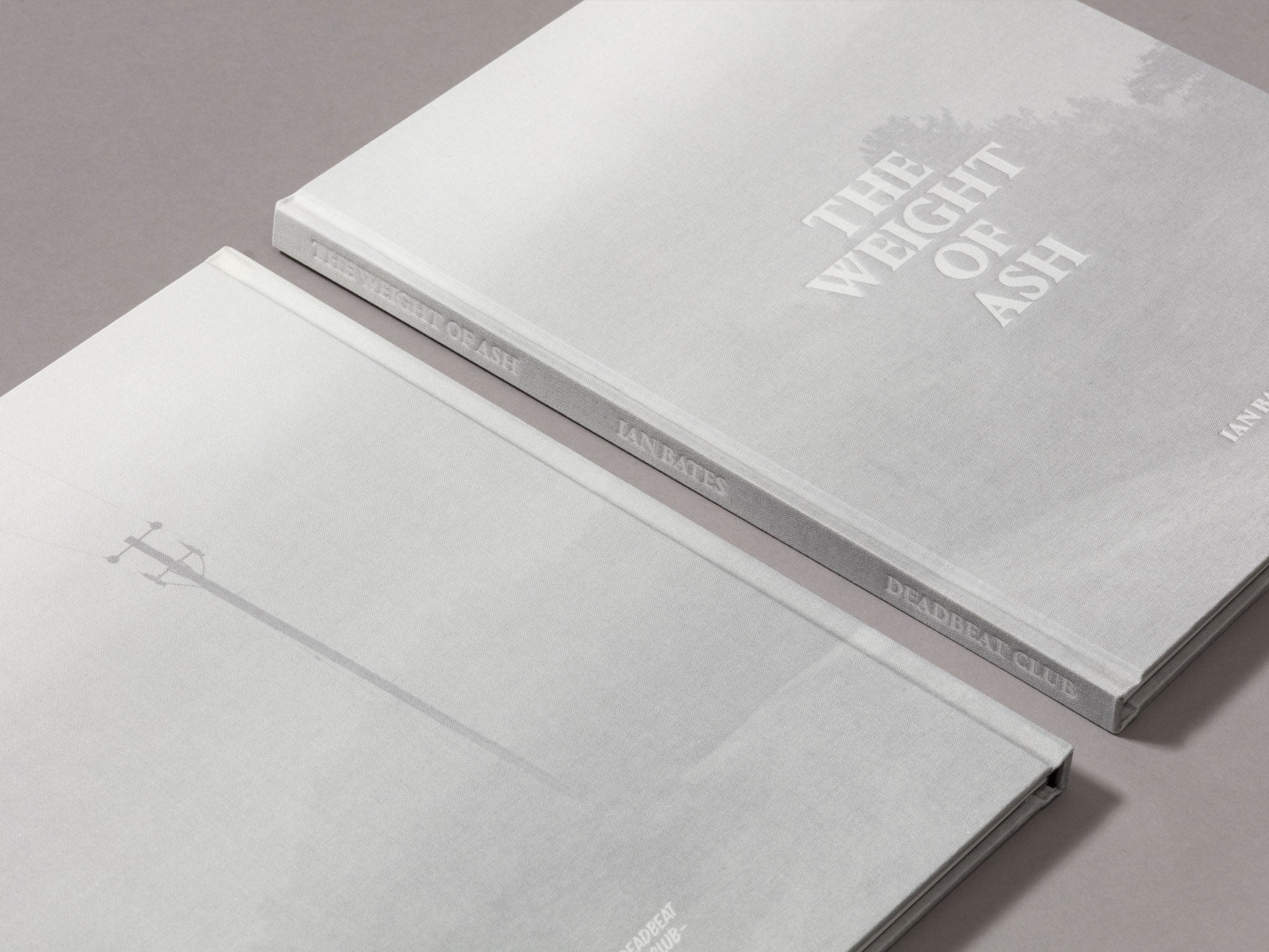 Special Edition / The Weight Of Ash - Ian Bates