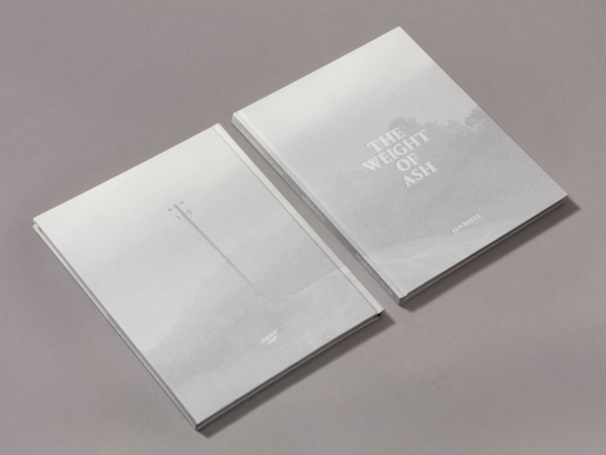 Special Edition / The Weight Of Ash - Ian Bates