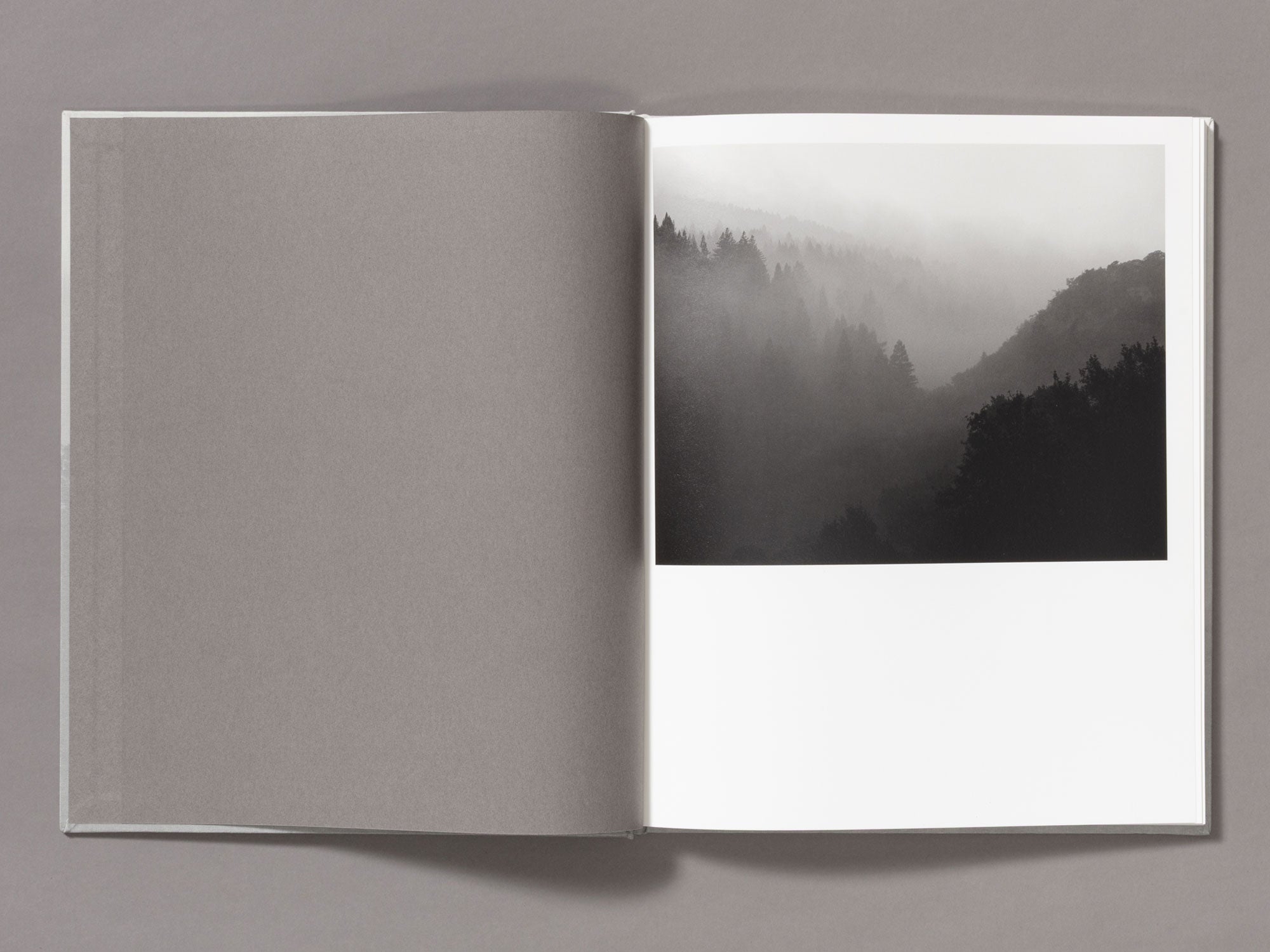 Special Edition / The Weight Of Ash - Ian Bates