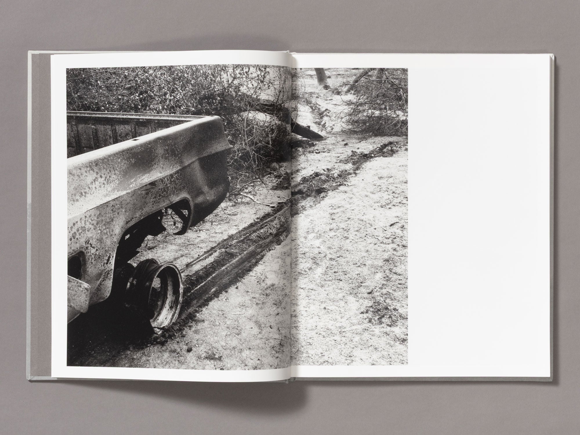 Special Edition / The Weight Of Ash - Ian Bates