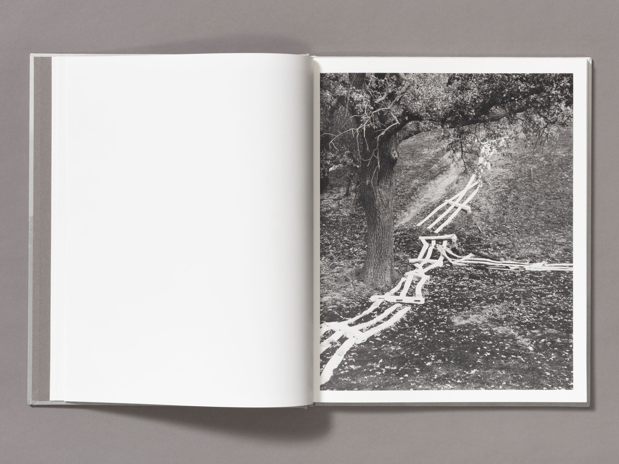 Special Edition / The Weight Of Ash - Ian Bates