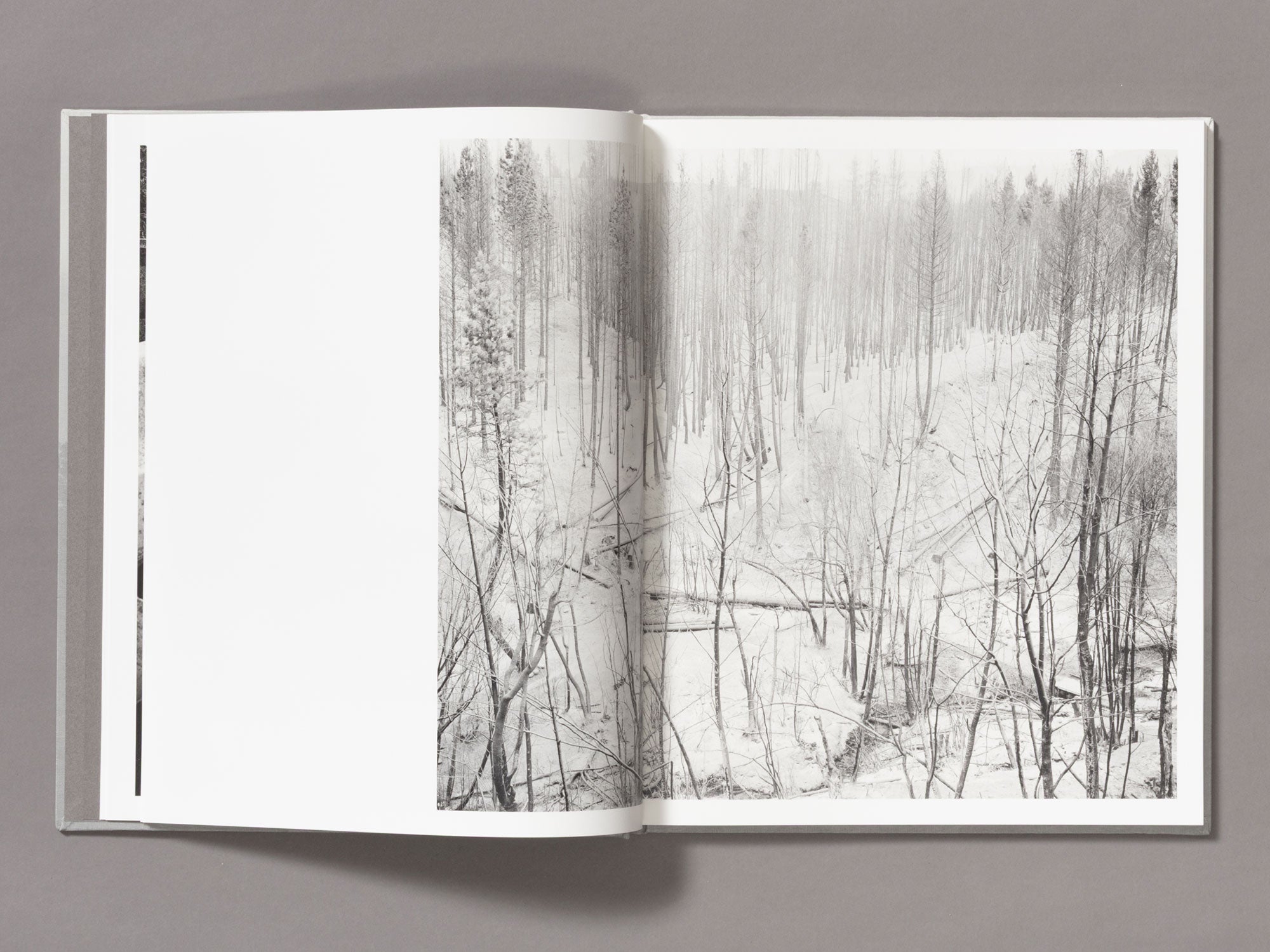 Special Edition / The Weight Of Ash - Ian Bates