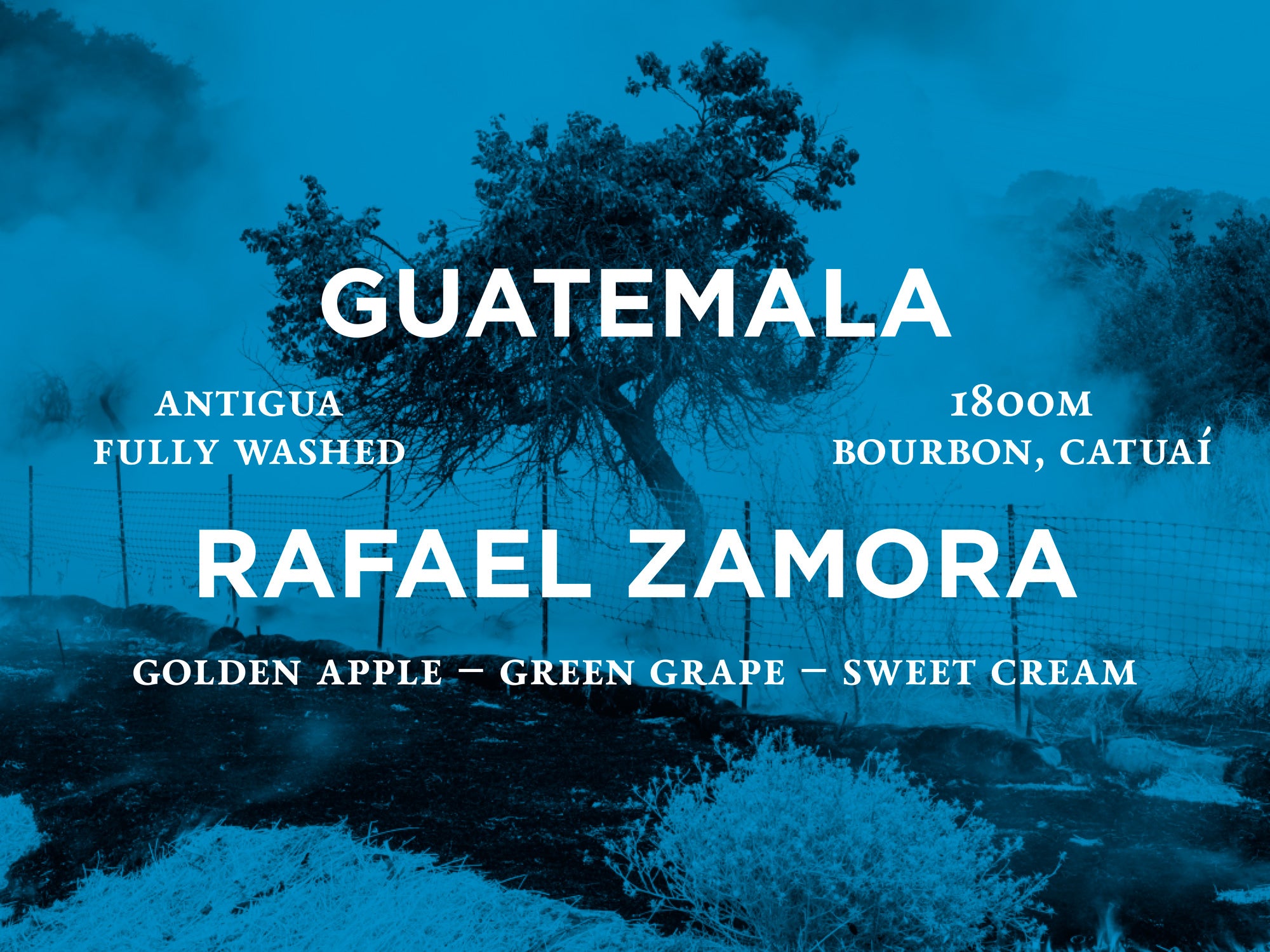 Guatemala - Rafael Zamora