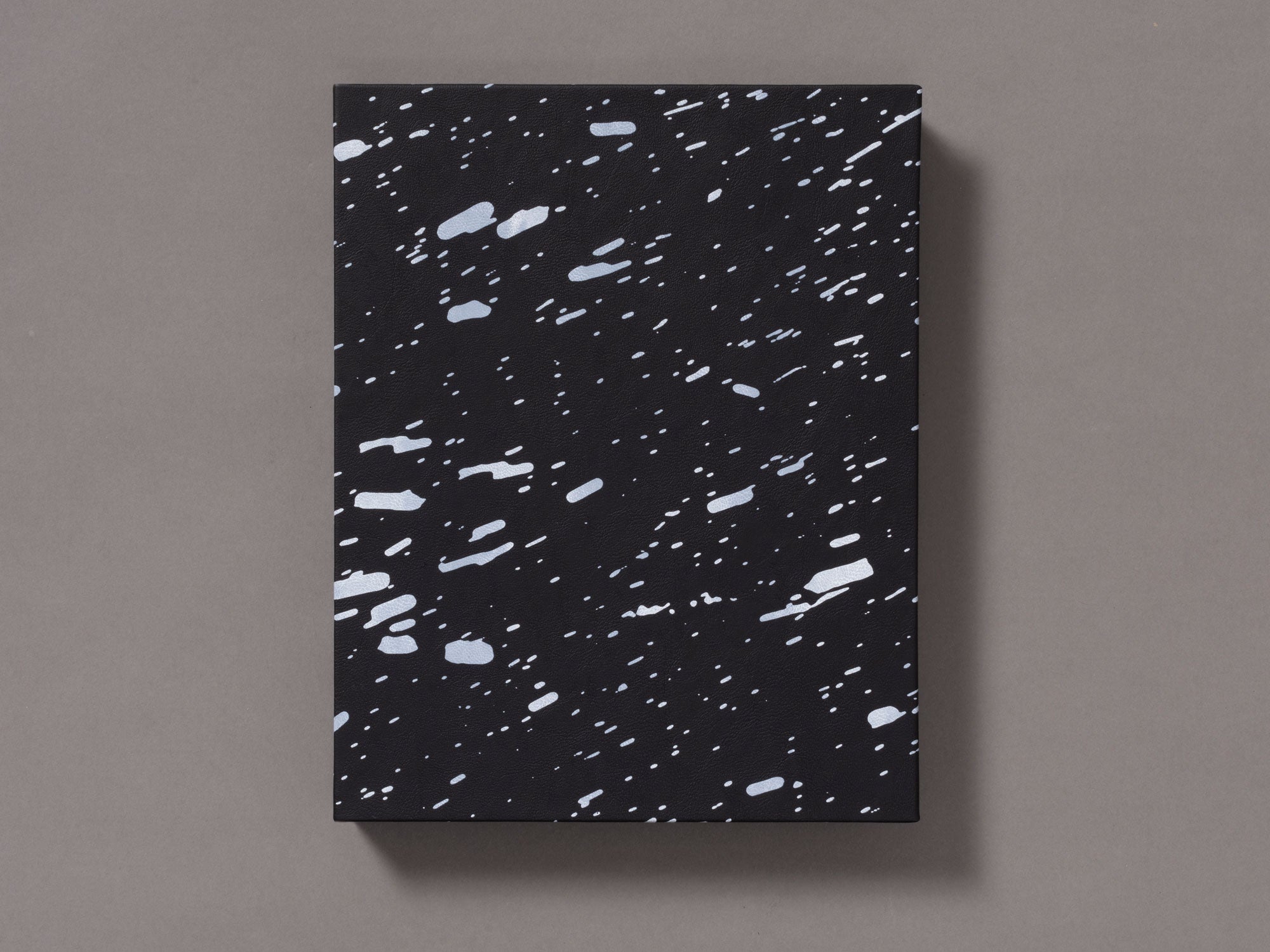 Special Edition / Snow - Vanessa Winship