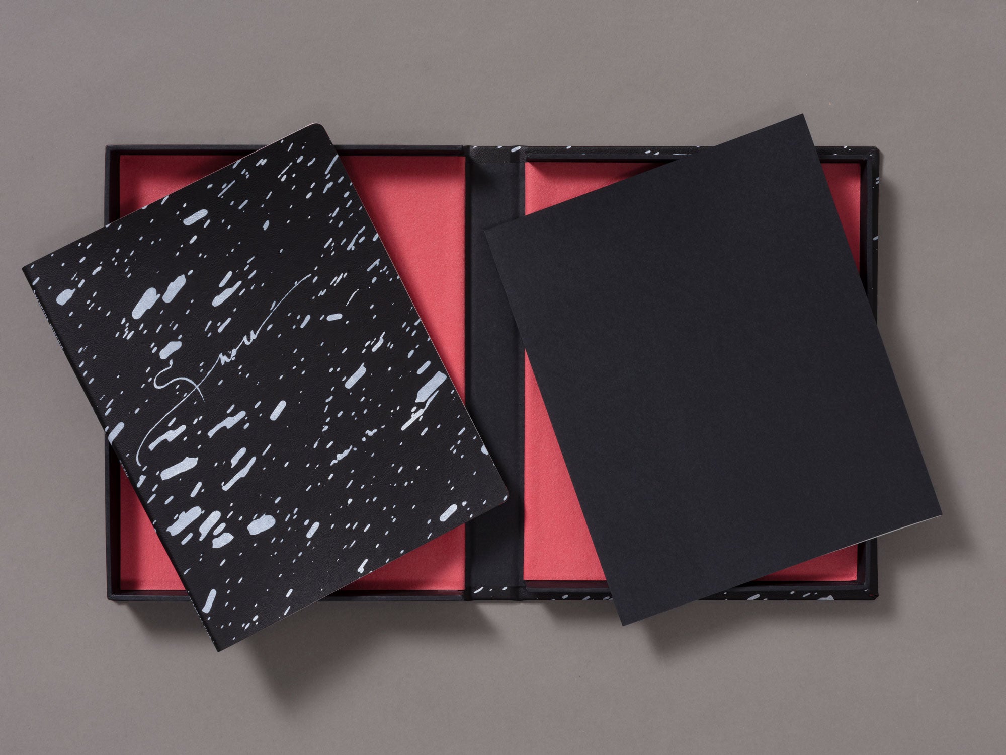 Special Edition / Snow - Vanessa Winship