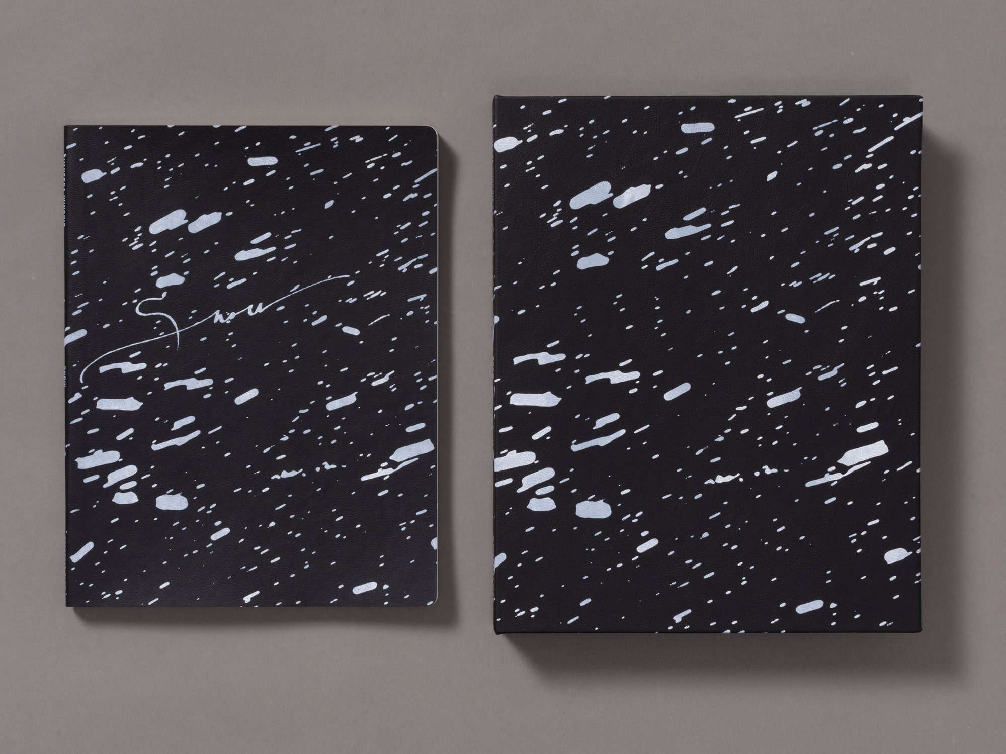 Special Edition / Snow - Vanessa Winship