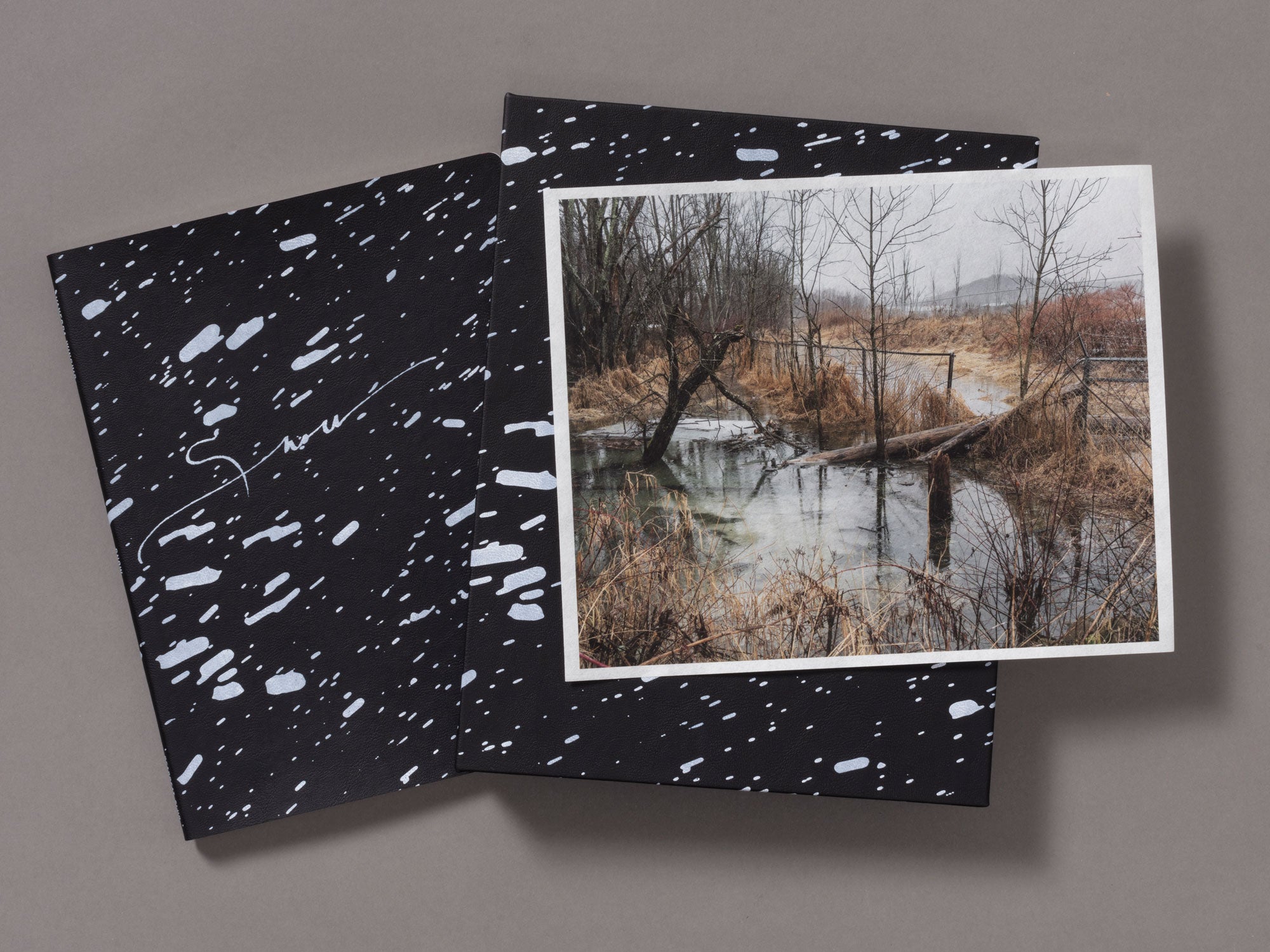 Special Edition / Snow - Vanessa Winship