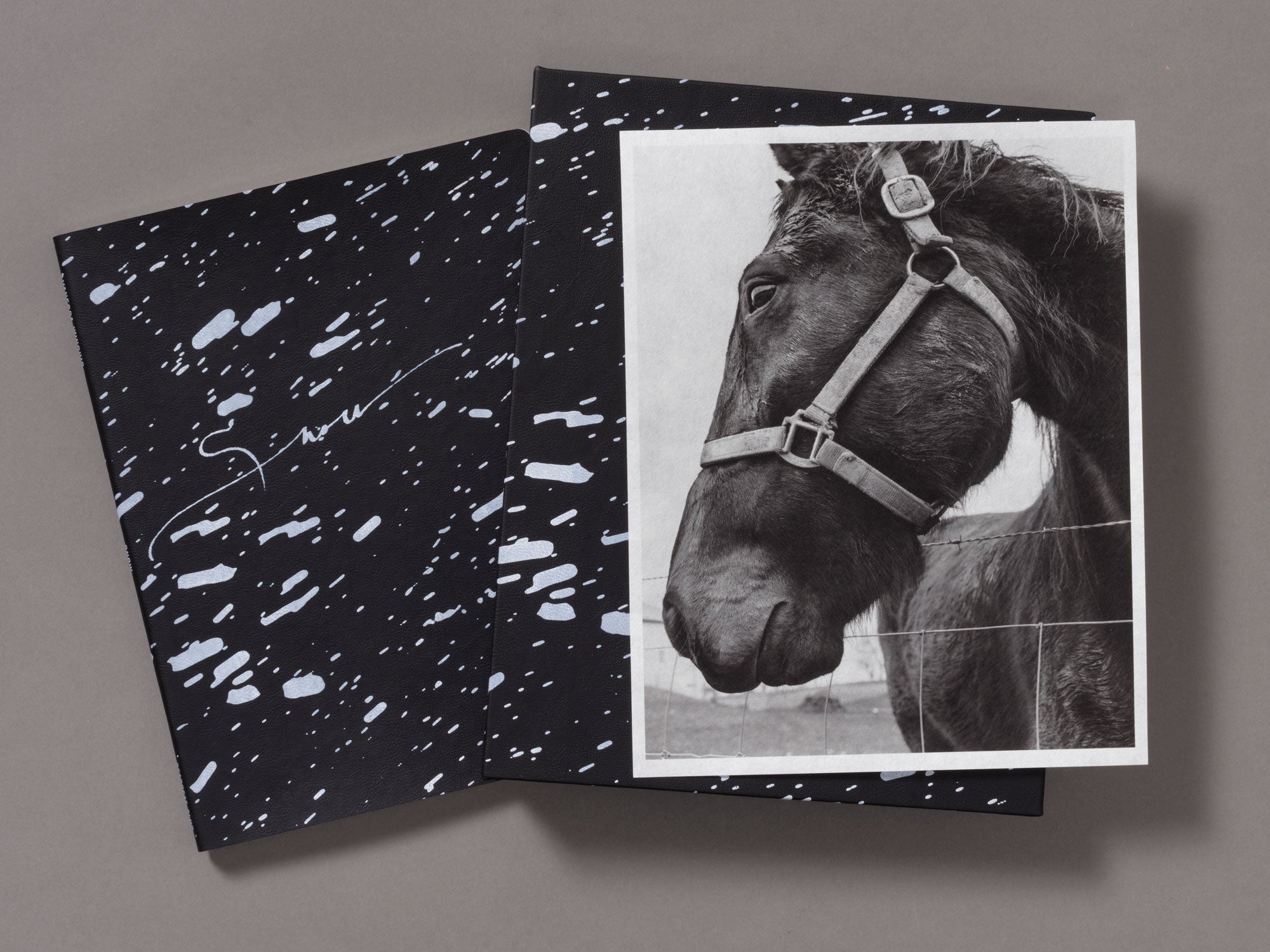 Special Edition / Snow - Vanessa Winship