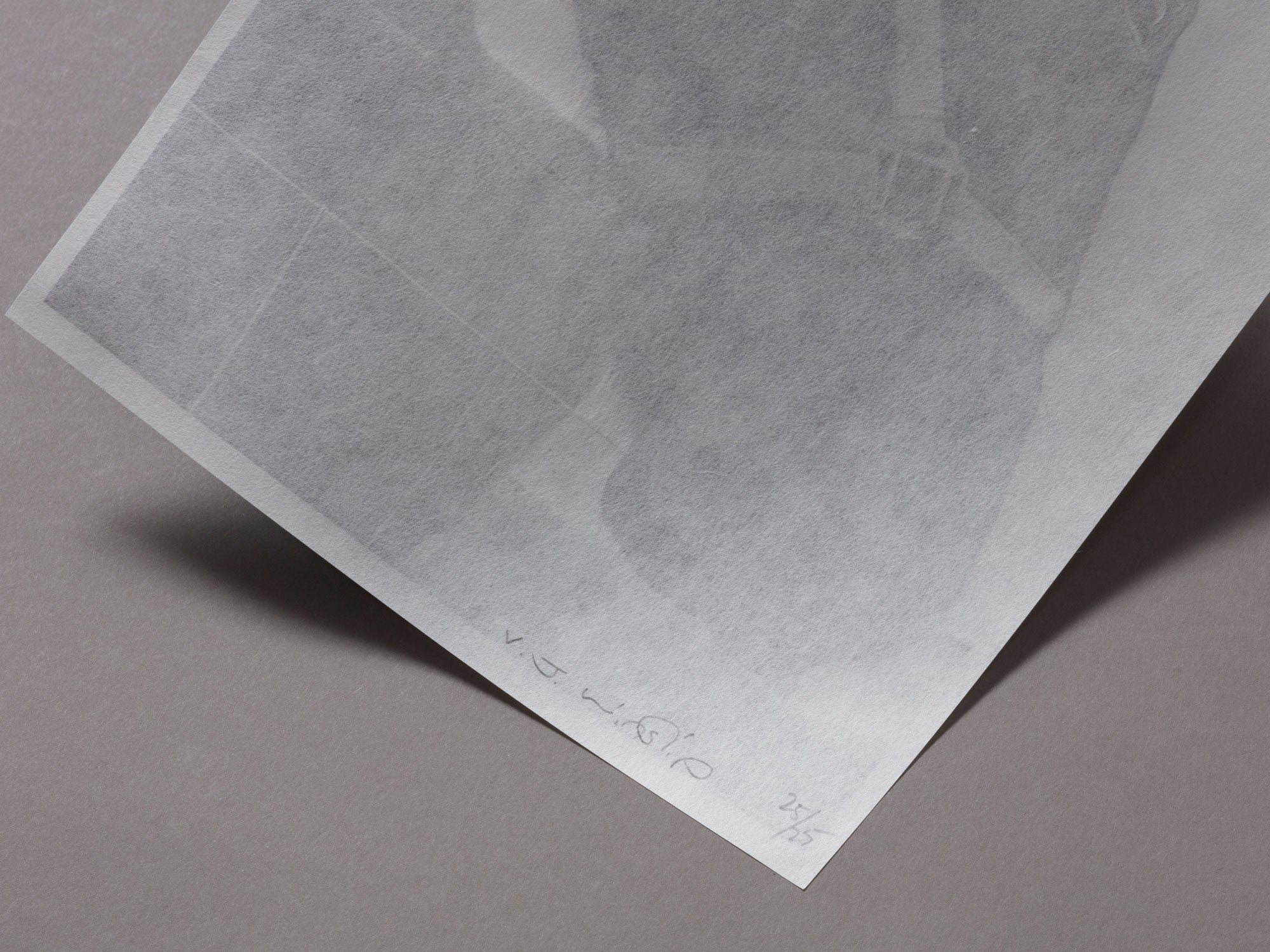 Special Edition / Snow - Vanessa Winship