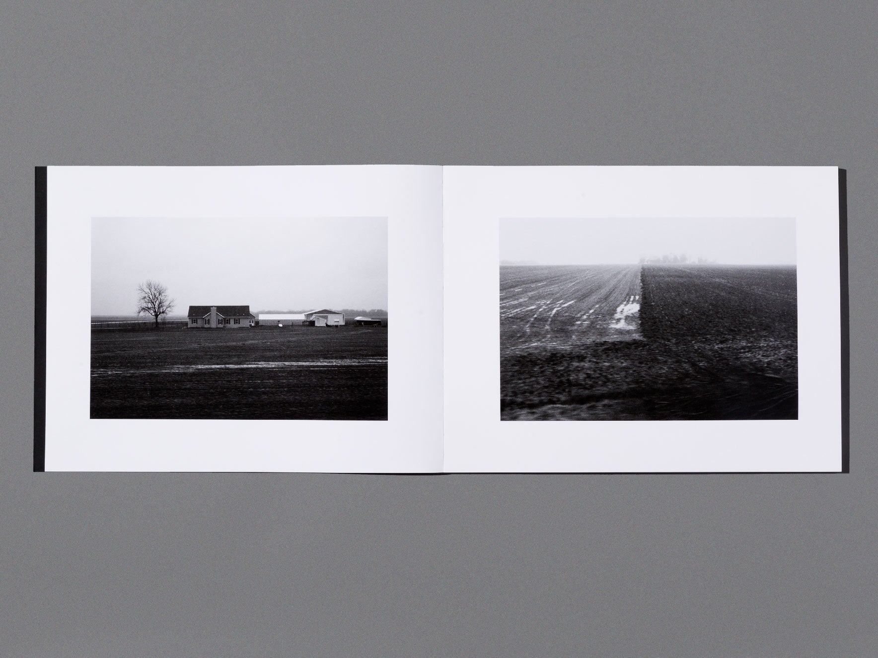 Still Feel Gone - Tim Carpenter , Nathan Pearce