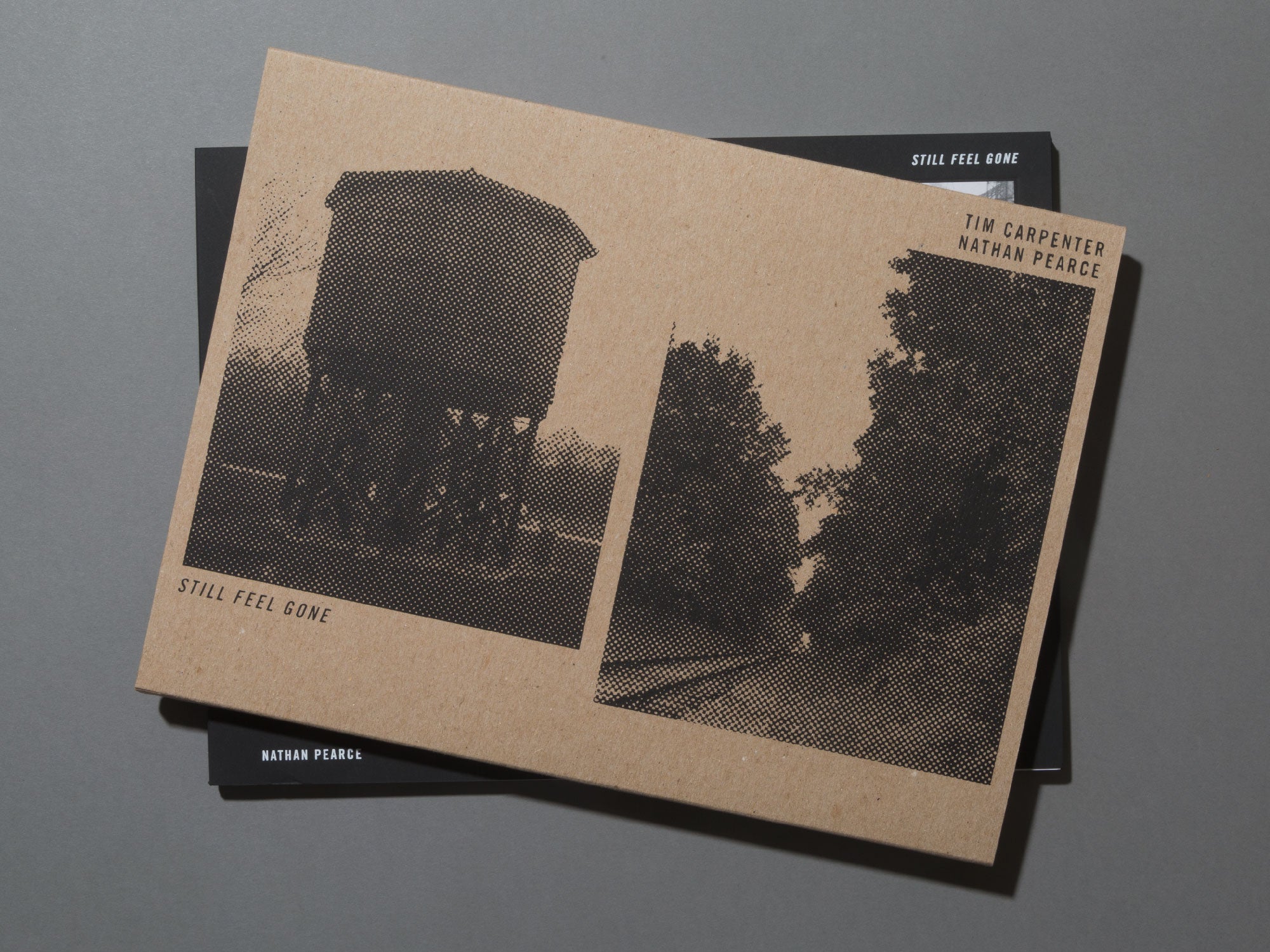 SPECIAL EDITION / Still Feel Gone - Tim Carpenter , Nathan Pearce