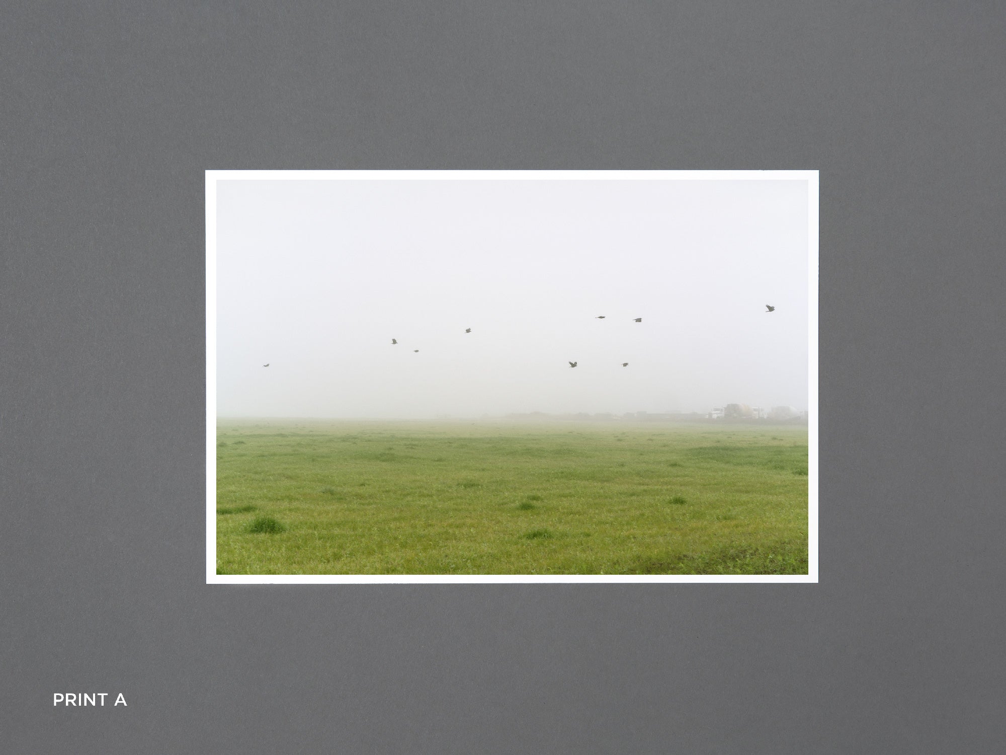 SPECIAL EDITION / In The Vicinity - Ed Panar