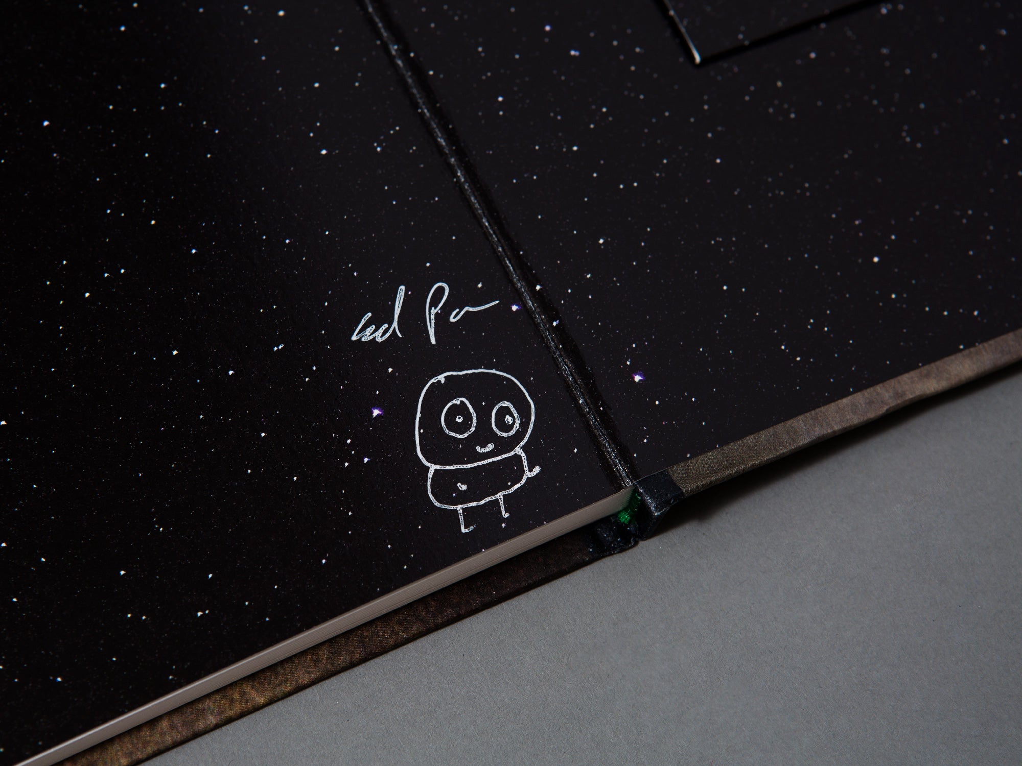 SPECIAL EDITION / In The Vicinity - Ed Panar