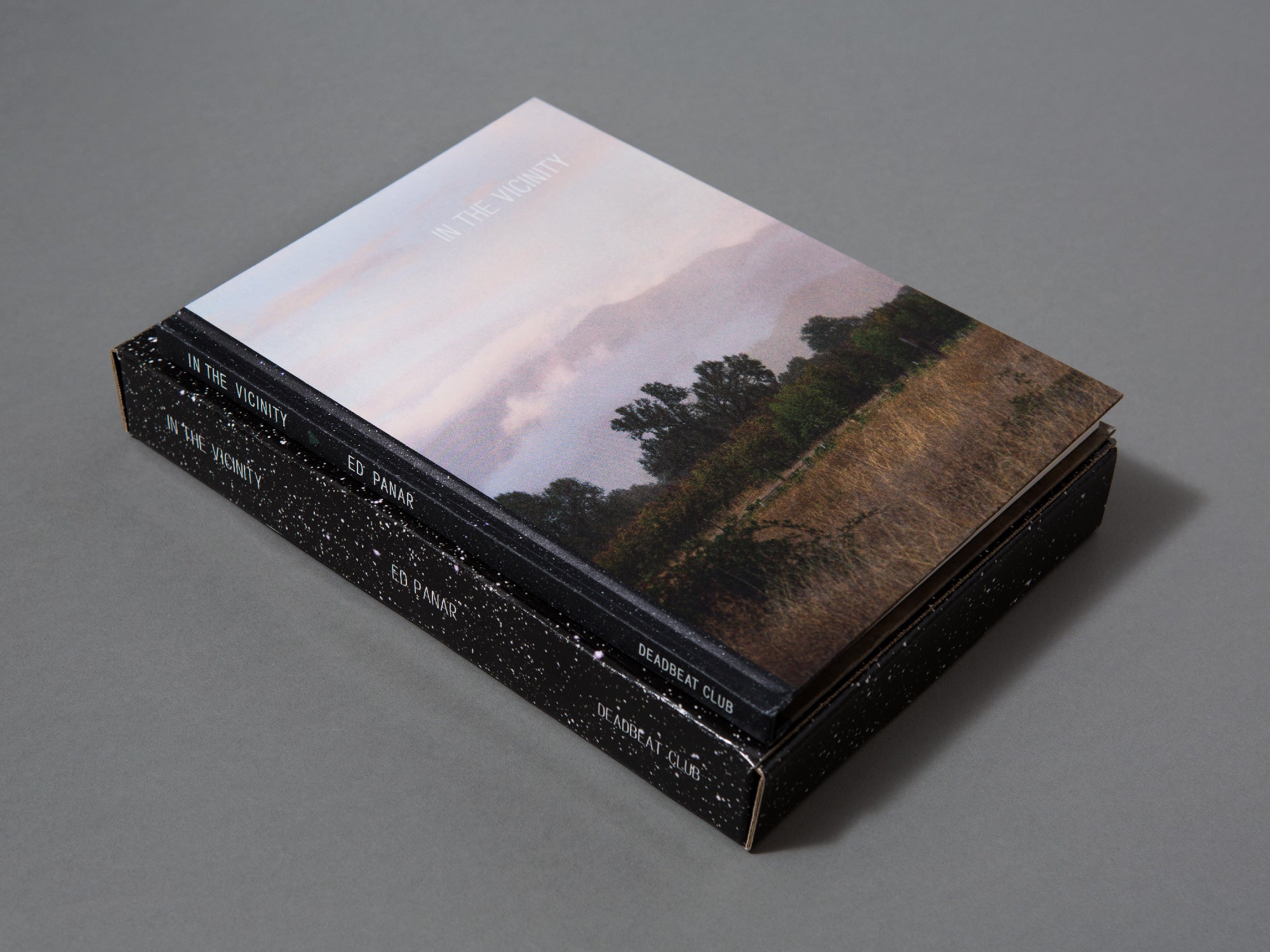 SPECIAL EDITION / In The Vicinity - Ed Panar