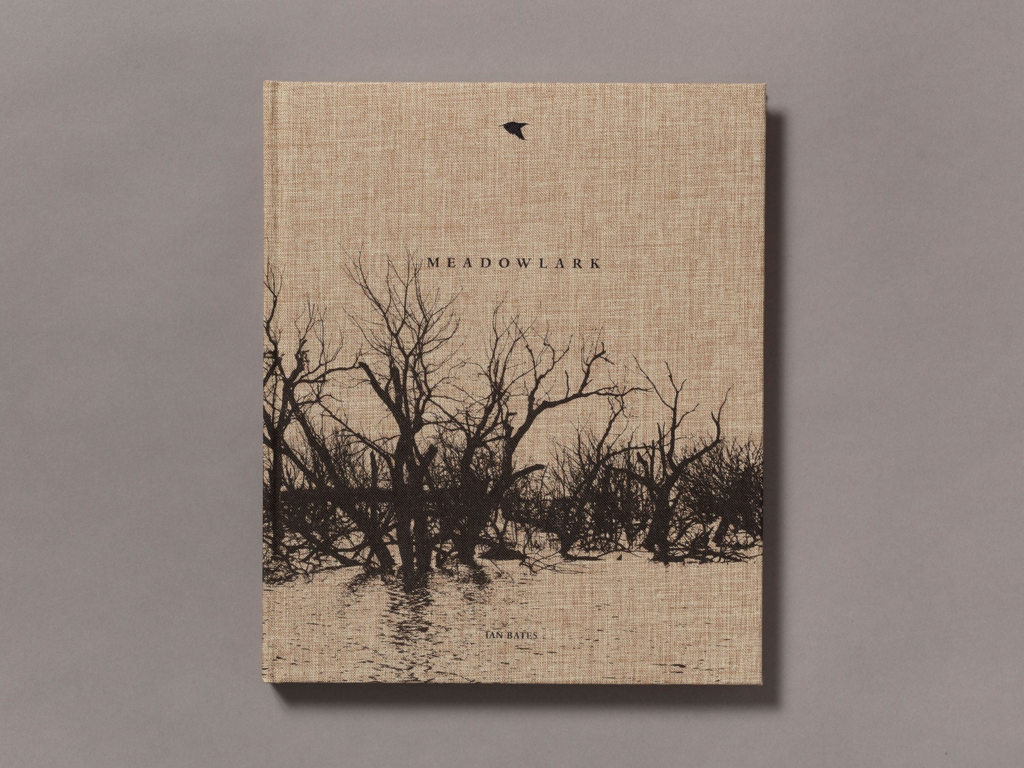 Meadowlark - Ian Bates