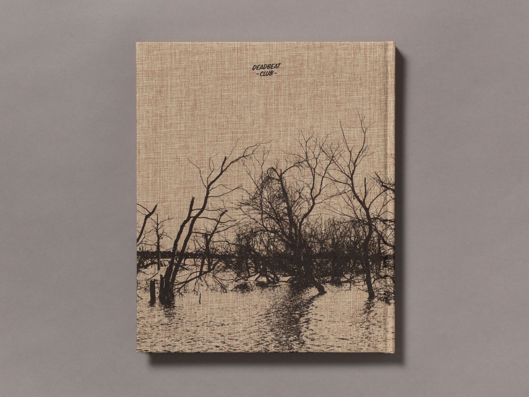 Meadowlark - Ian Bates