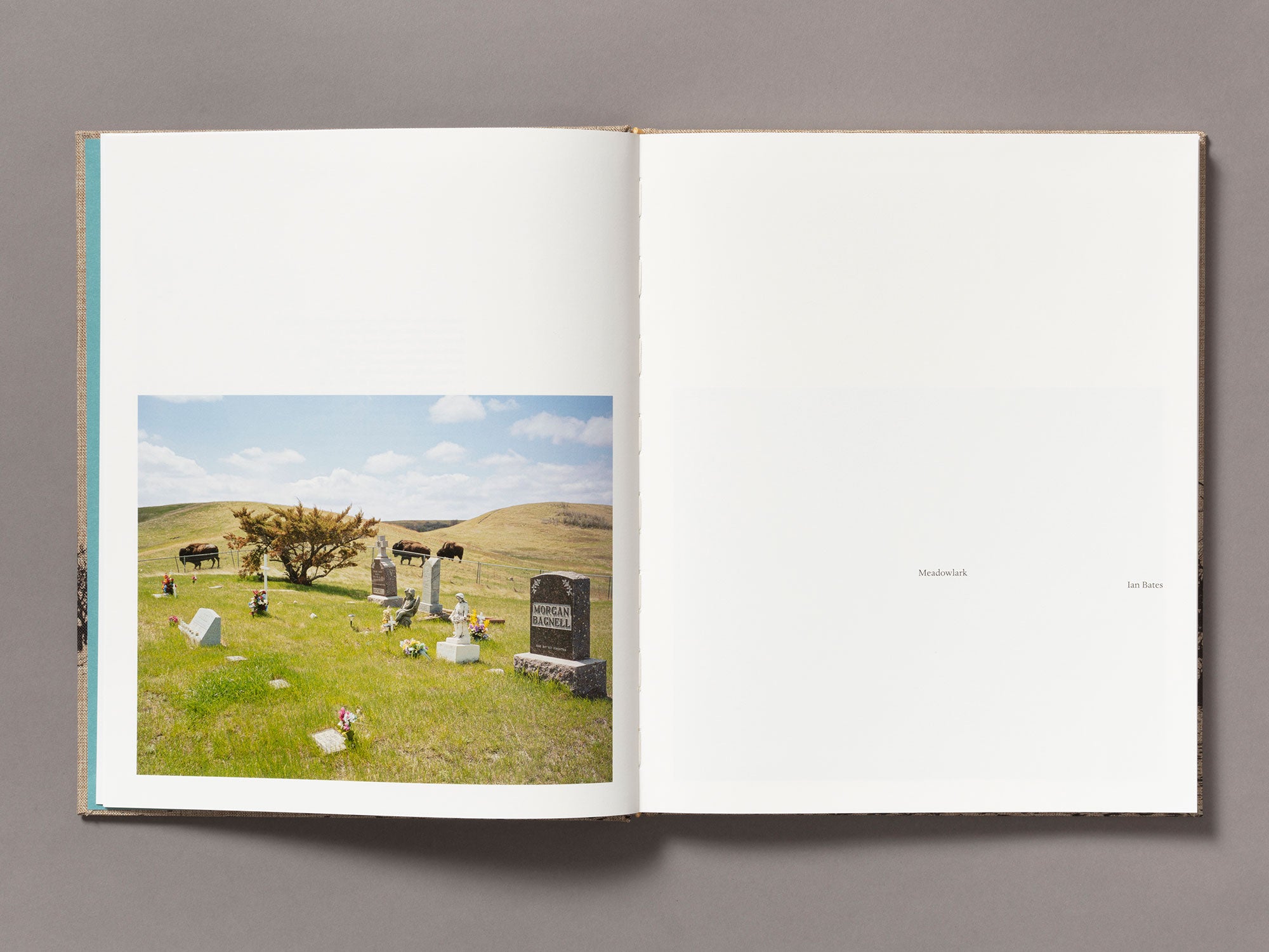 Special Edition / Meadowlark - Ian Bates