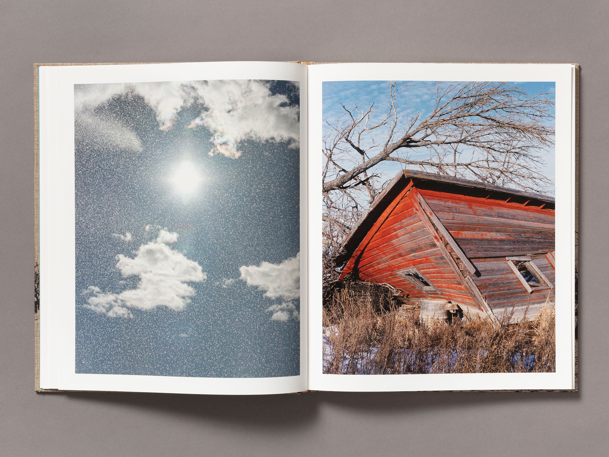 Special Edition / Meadowlark - Ian Bates