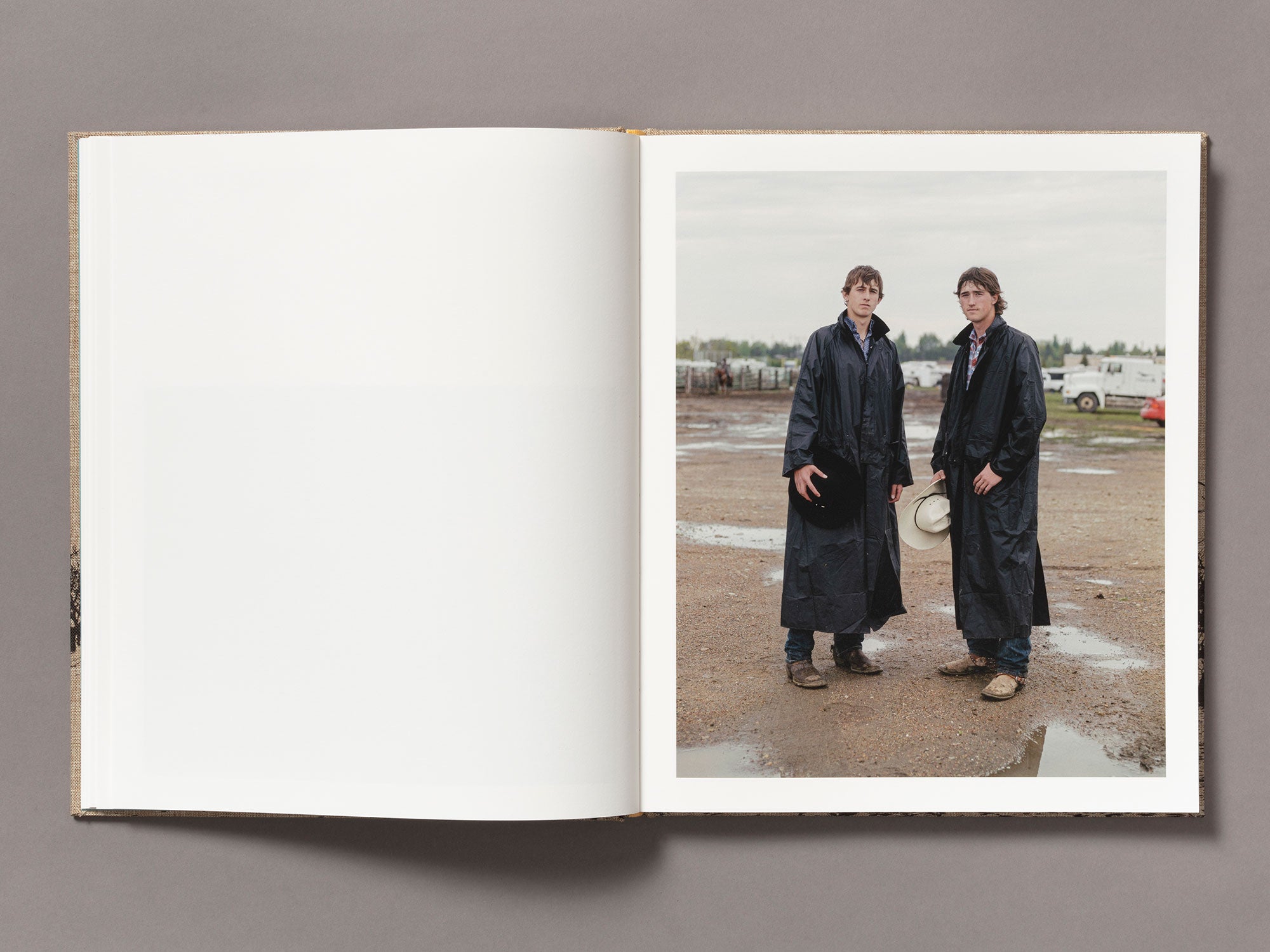 Special Edition / Meadowlark - Ian Bates