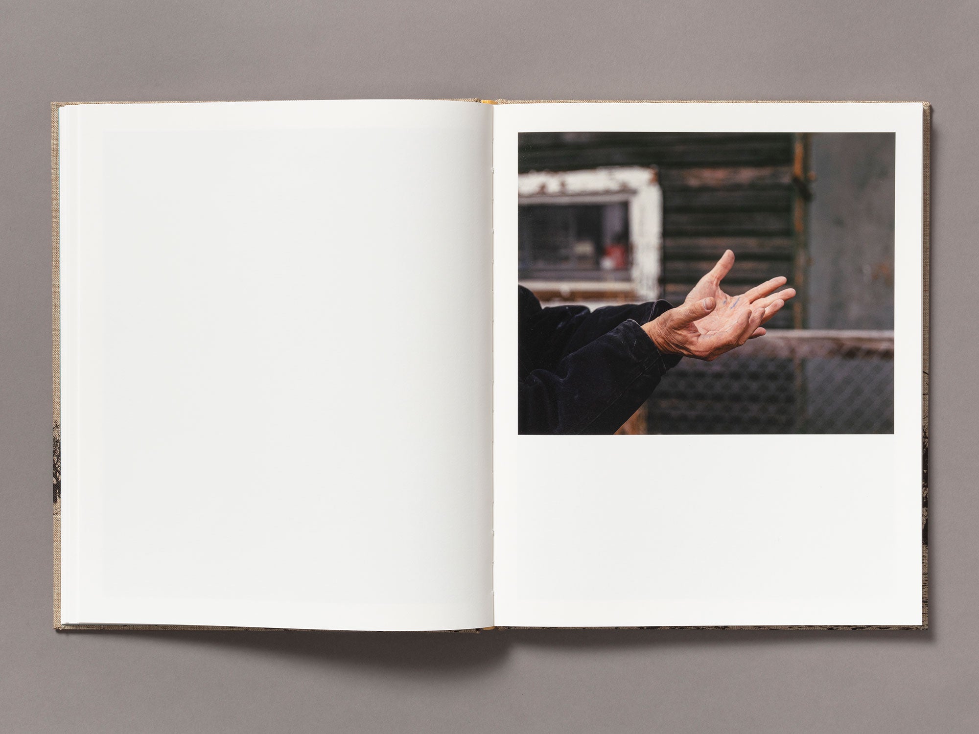 Meadowlark - Ian Bates