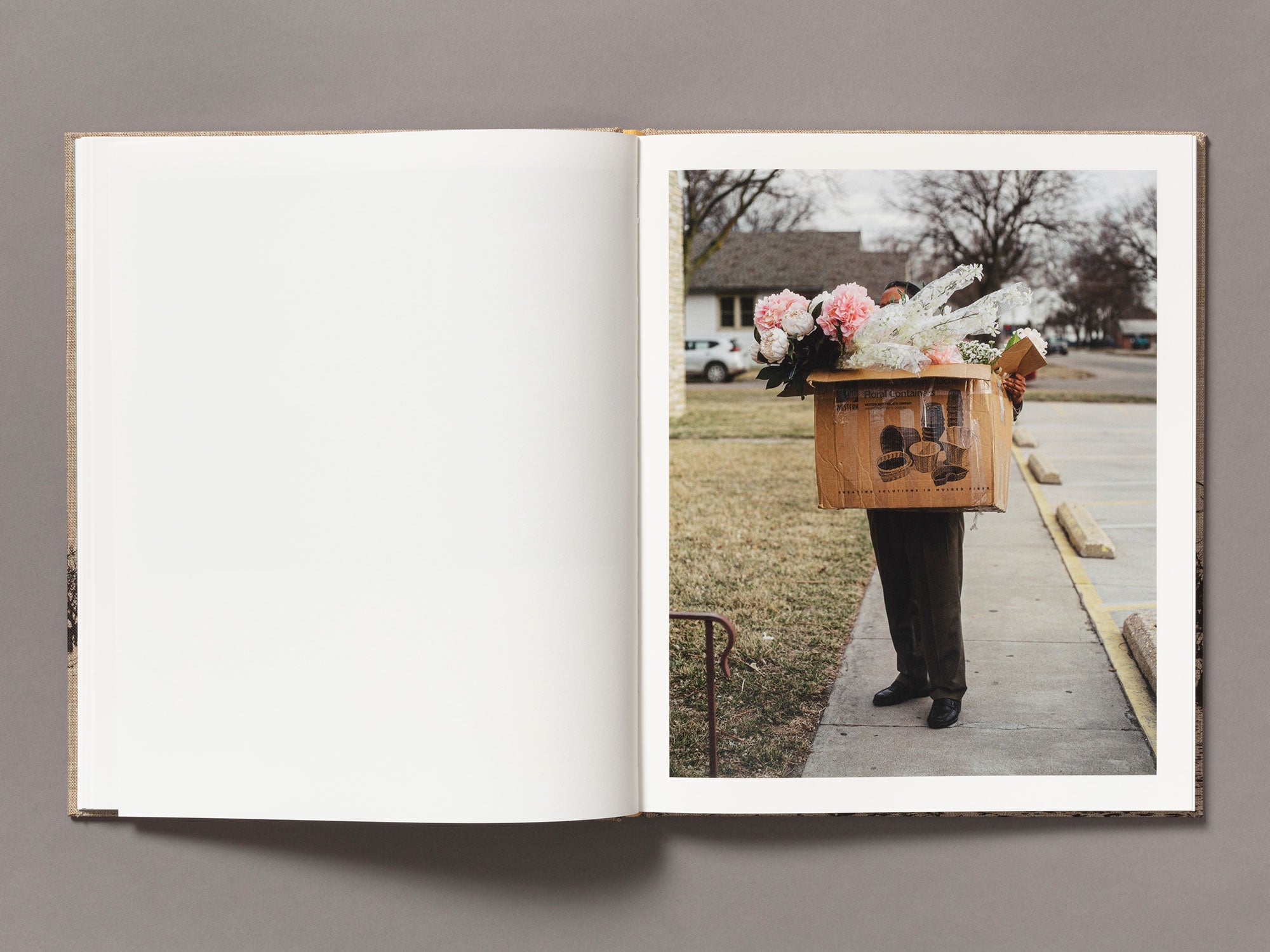 Special Edition / Meadowlark - Ian Bates