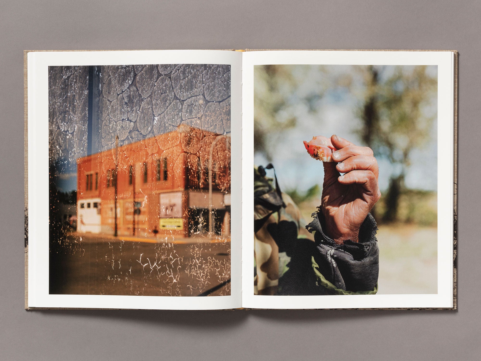 Special Edition / Meadowlark - Ian Bates