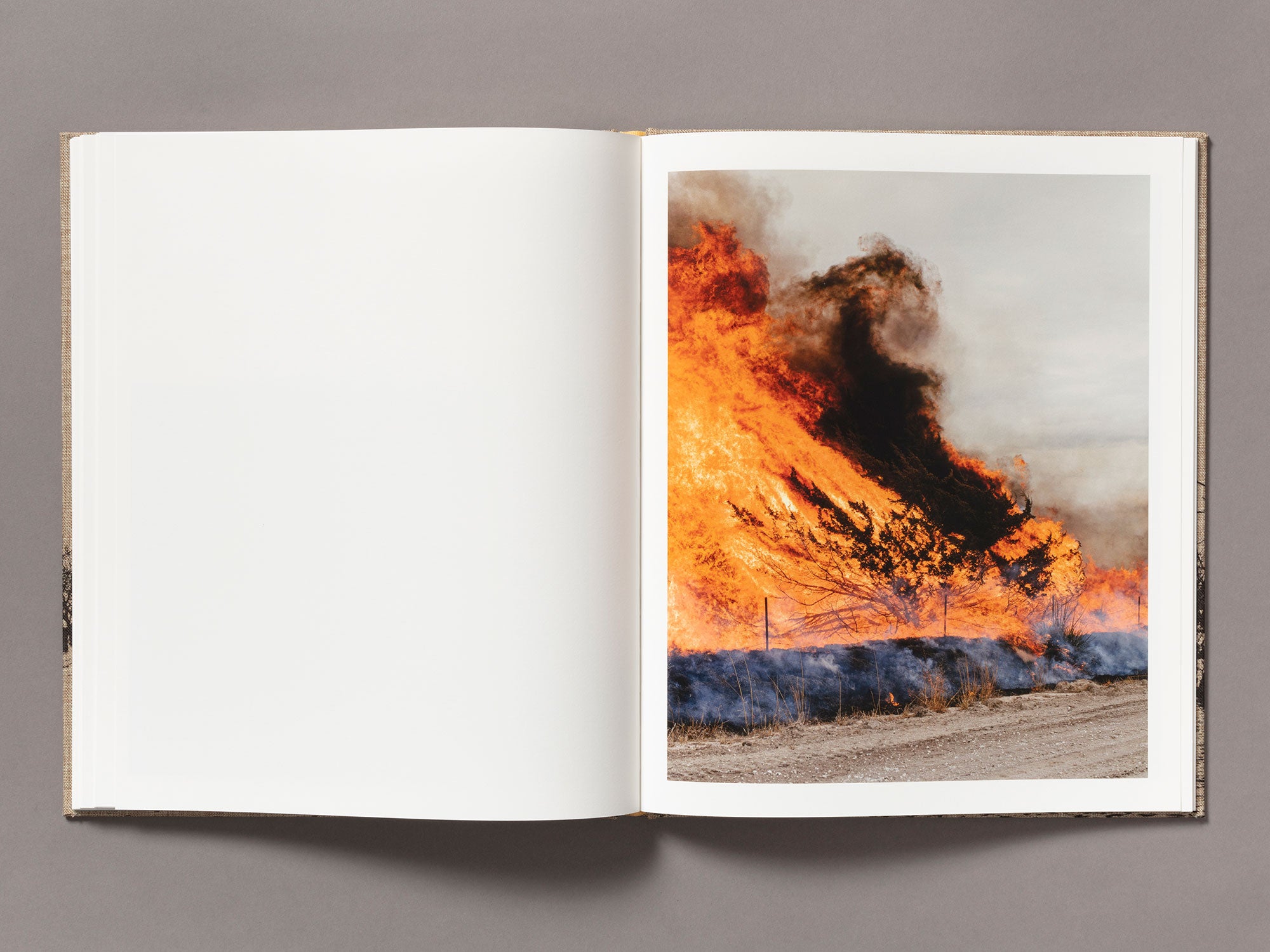 Special Edition / Meadowlark - Ian Bates