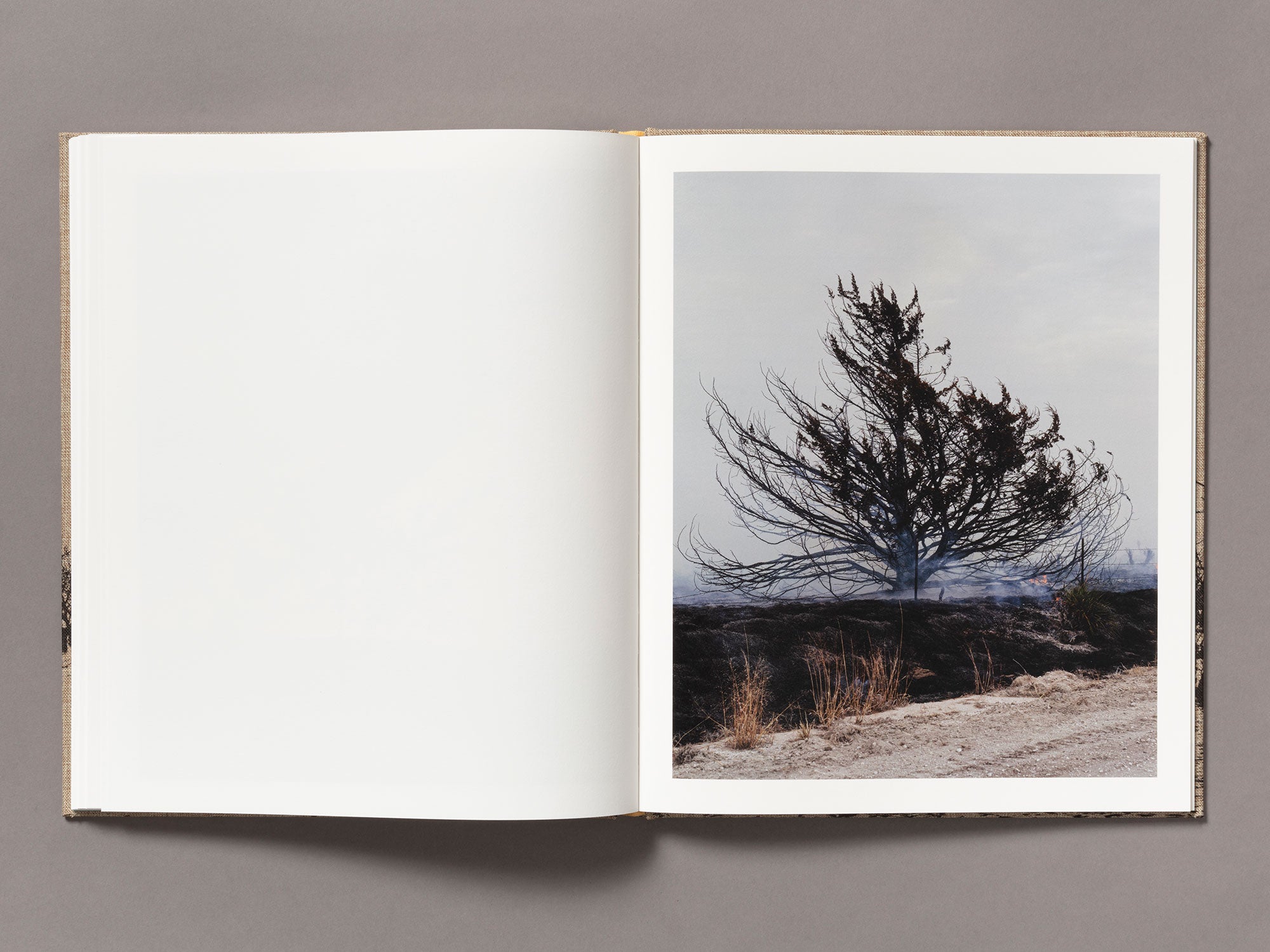 Special Edition / Meadowlark - Ian Bates