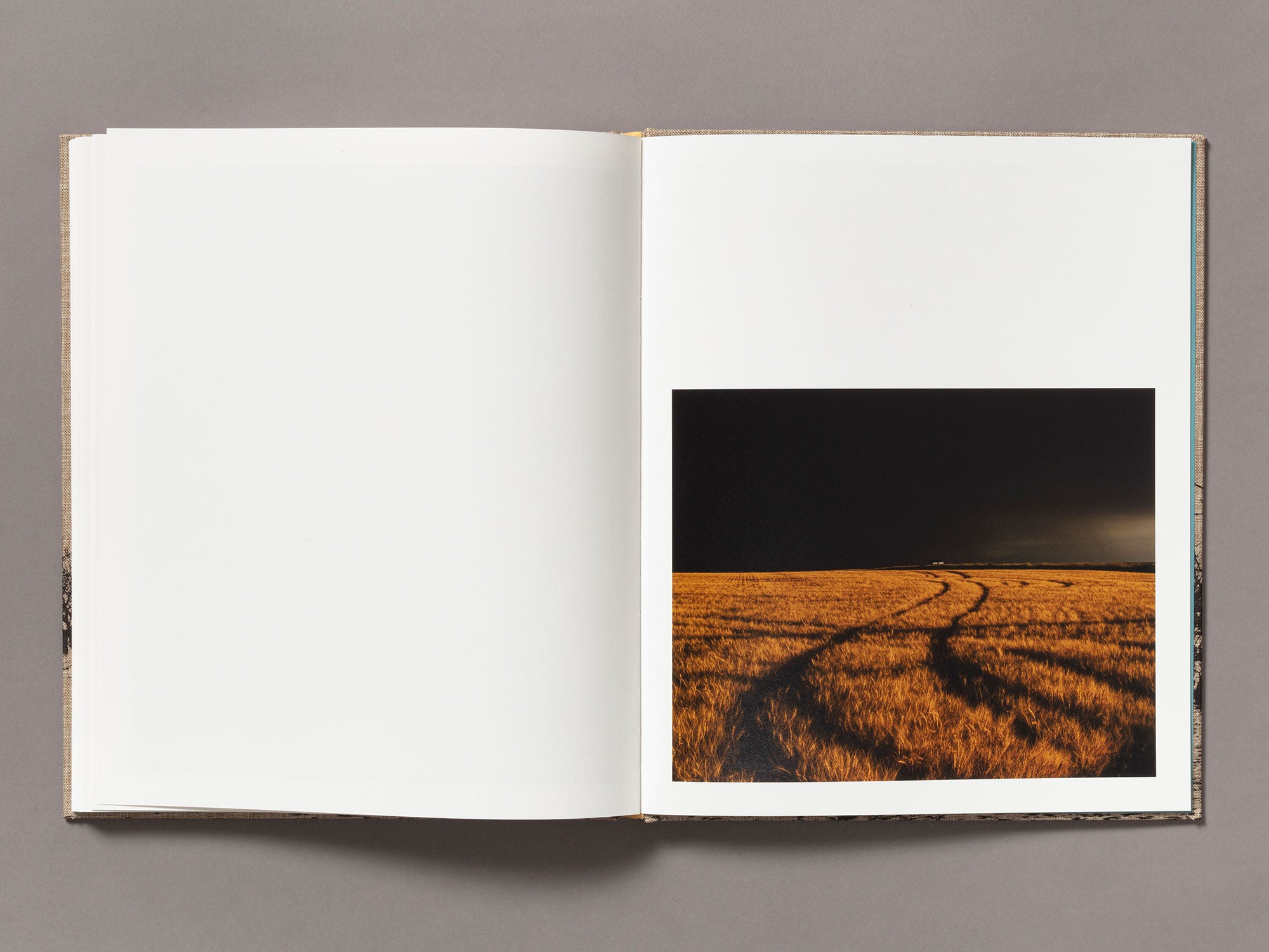 Meadowlark - Ian Bates