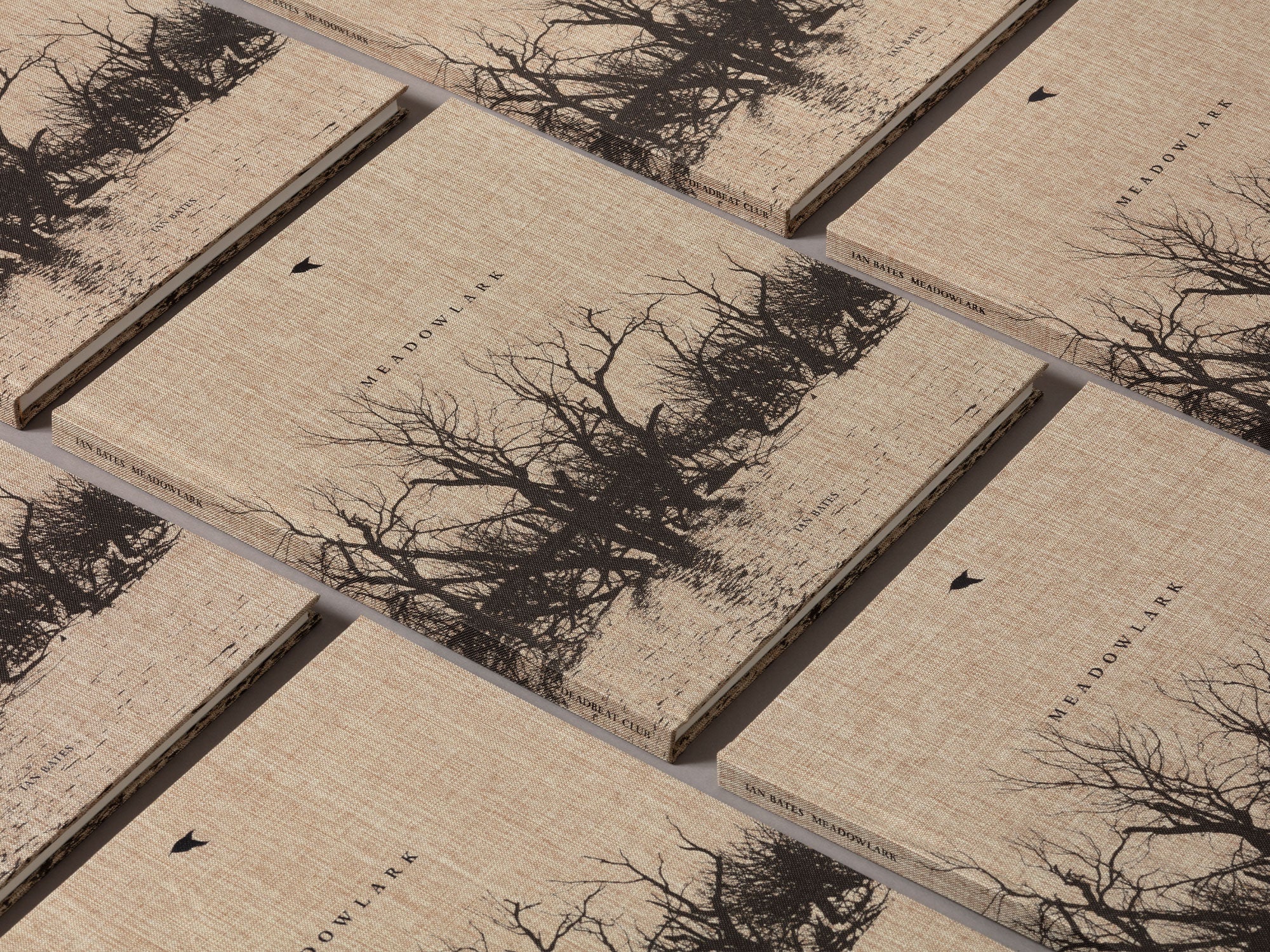 Meadowlark - Ian Bates