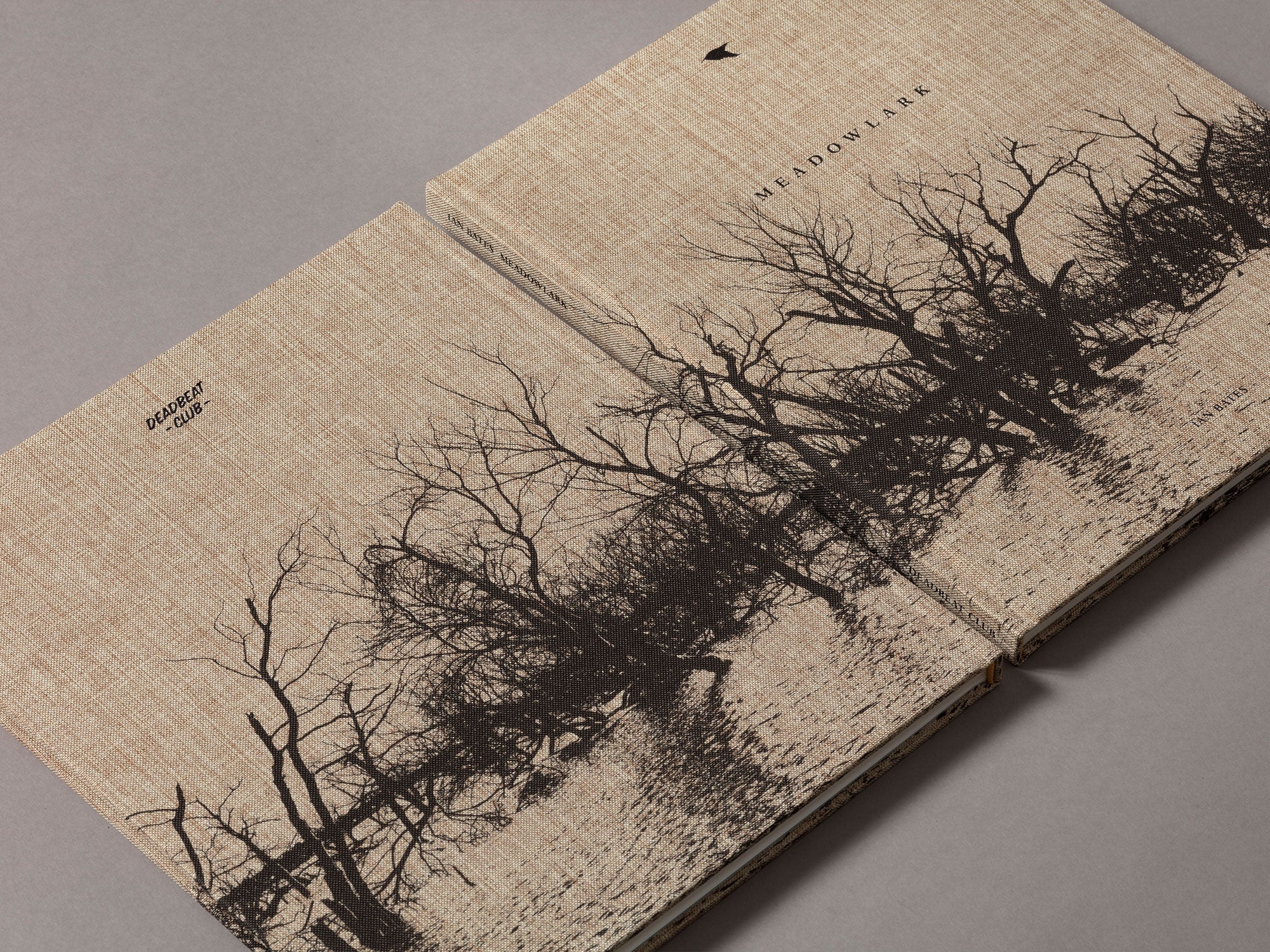 Meadowlark - Ian Bates